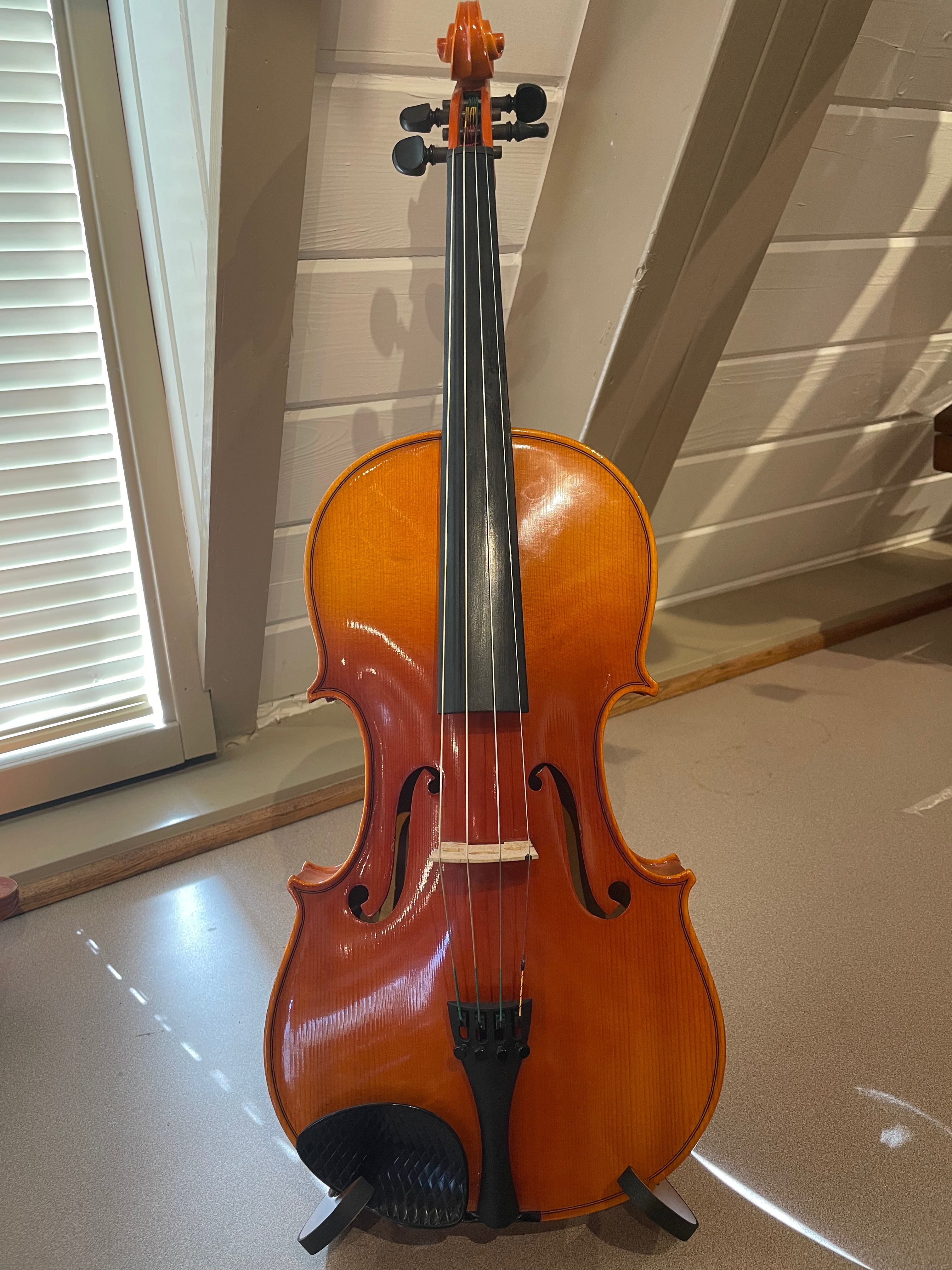 Starter 16.5" Viola Outfit