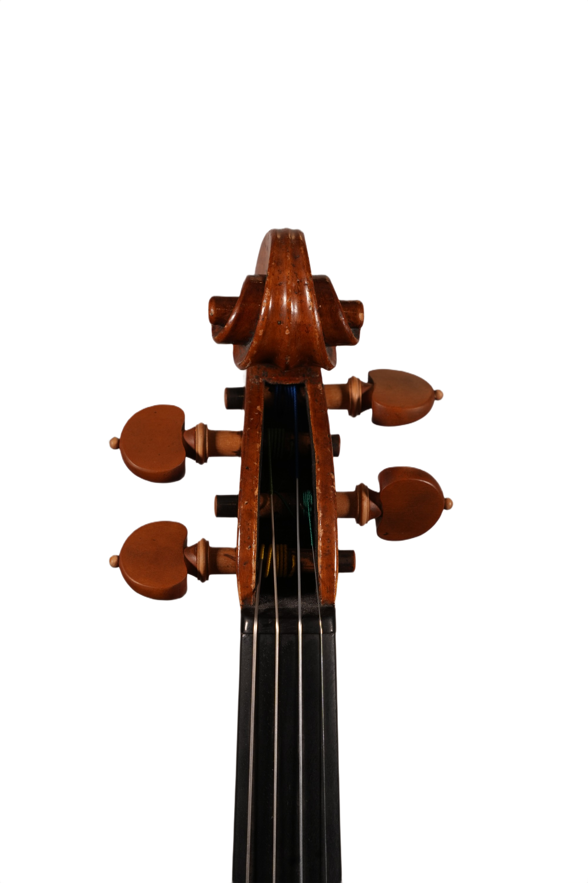 4/4 Violin Outfit - Bruno Costardi (Italy 2018)