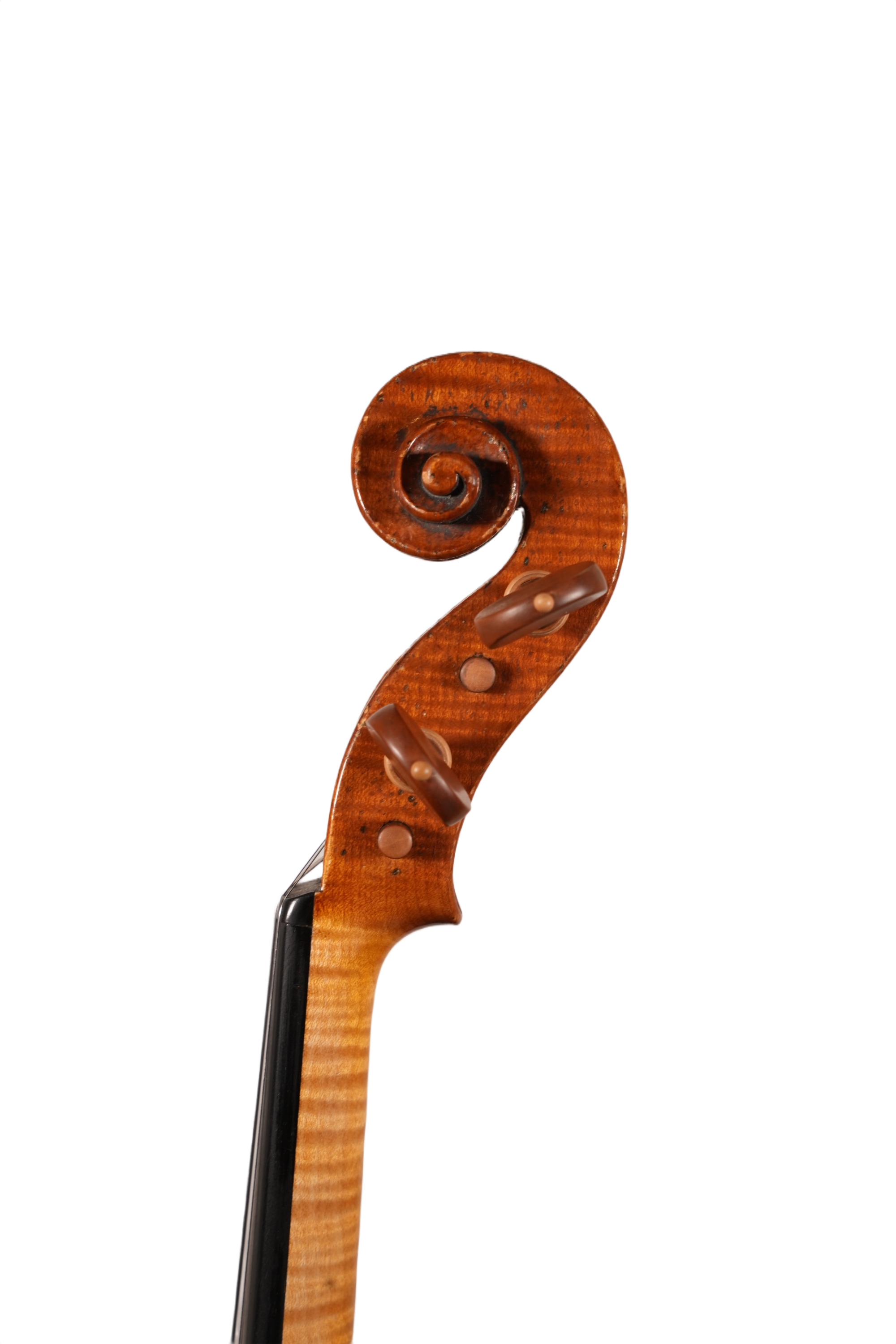 4/4 Violin Outfit - Bruno Costardi (Italy 2018)