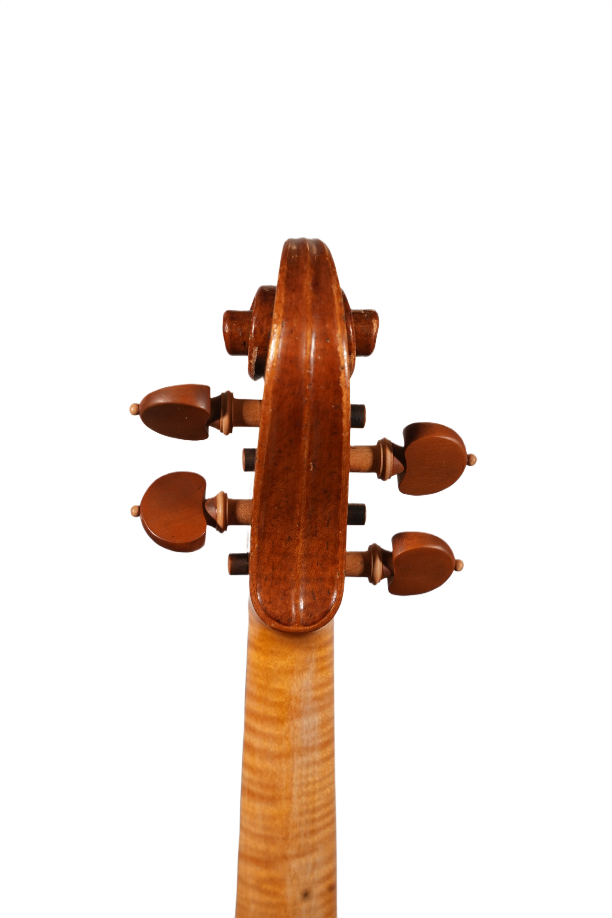 4/4 Violin Outfit - Bruno Costardi (Italy 2018)