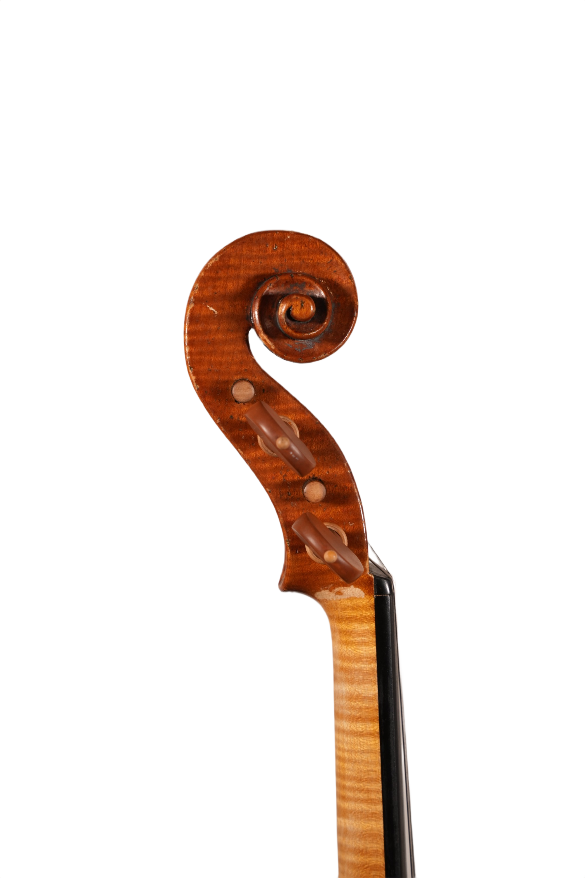 4/4 Violin Outfit - Bruno Costardi (Italy 2018)