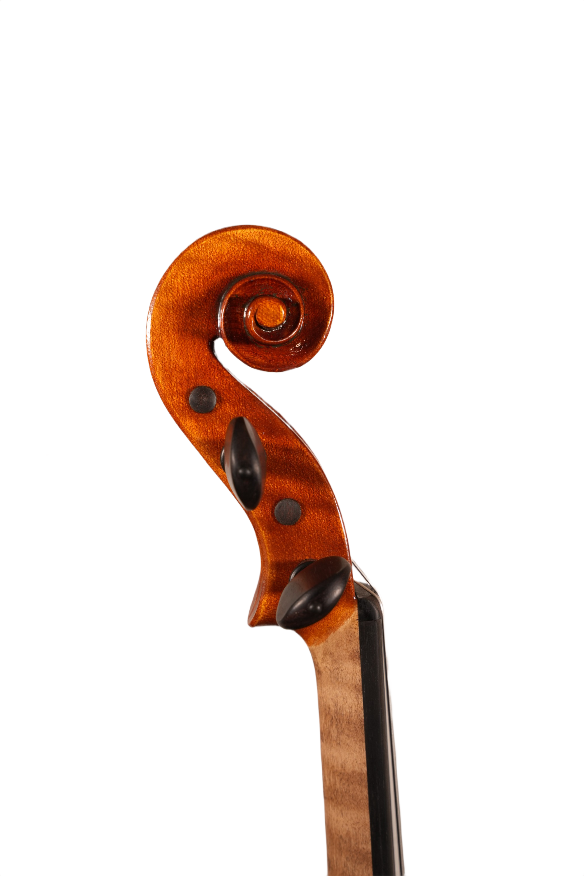 4/4 Lillo Salerno Workshop Violin Ex Cremonensis (anno 2025)