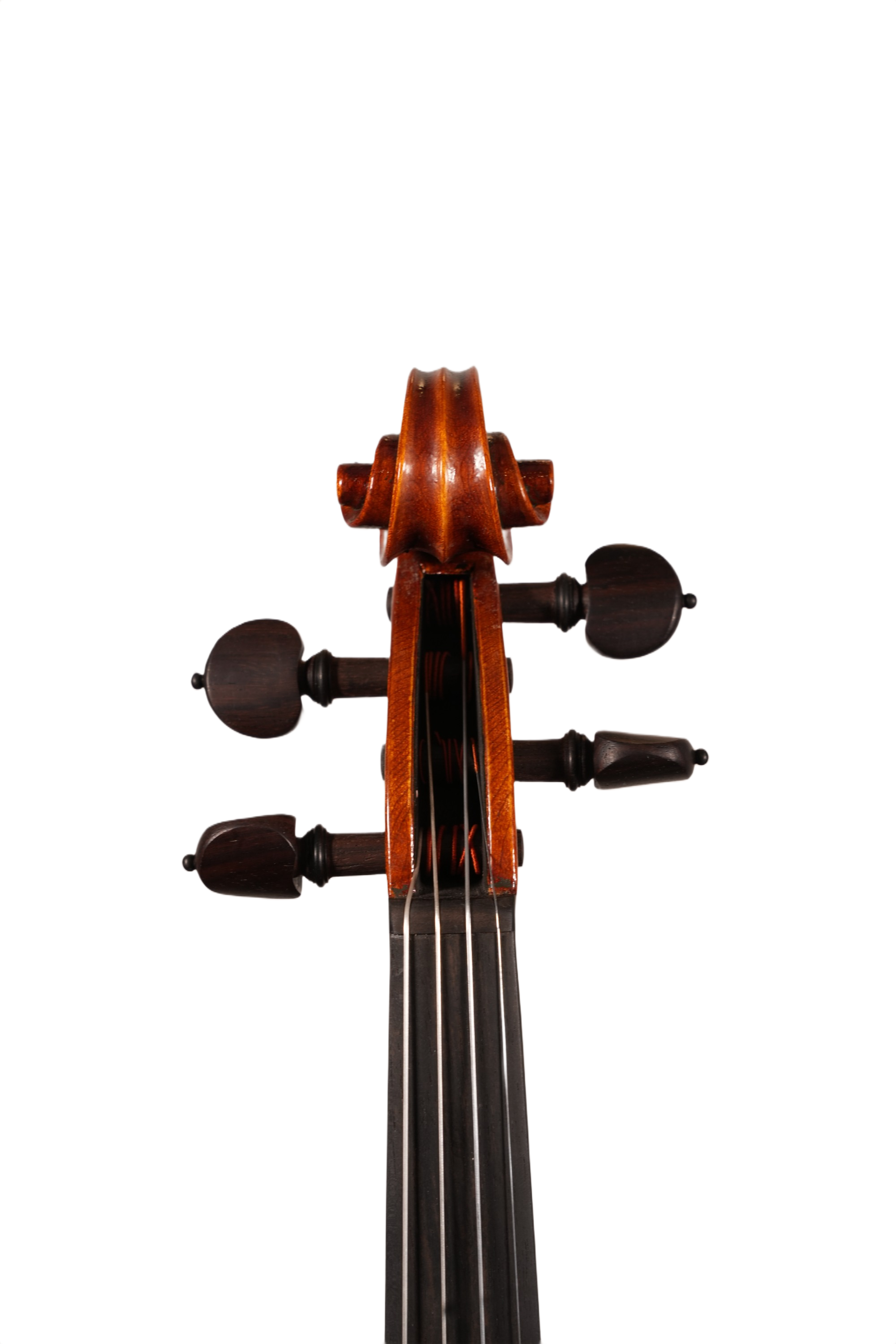 4/4 Lillo Salerno Workshop Violin Ex Cremonensis (anno 2025)