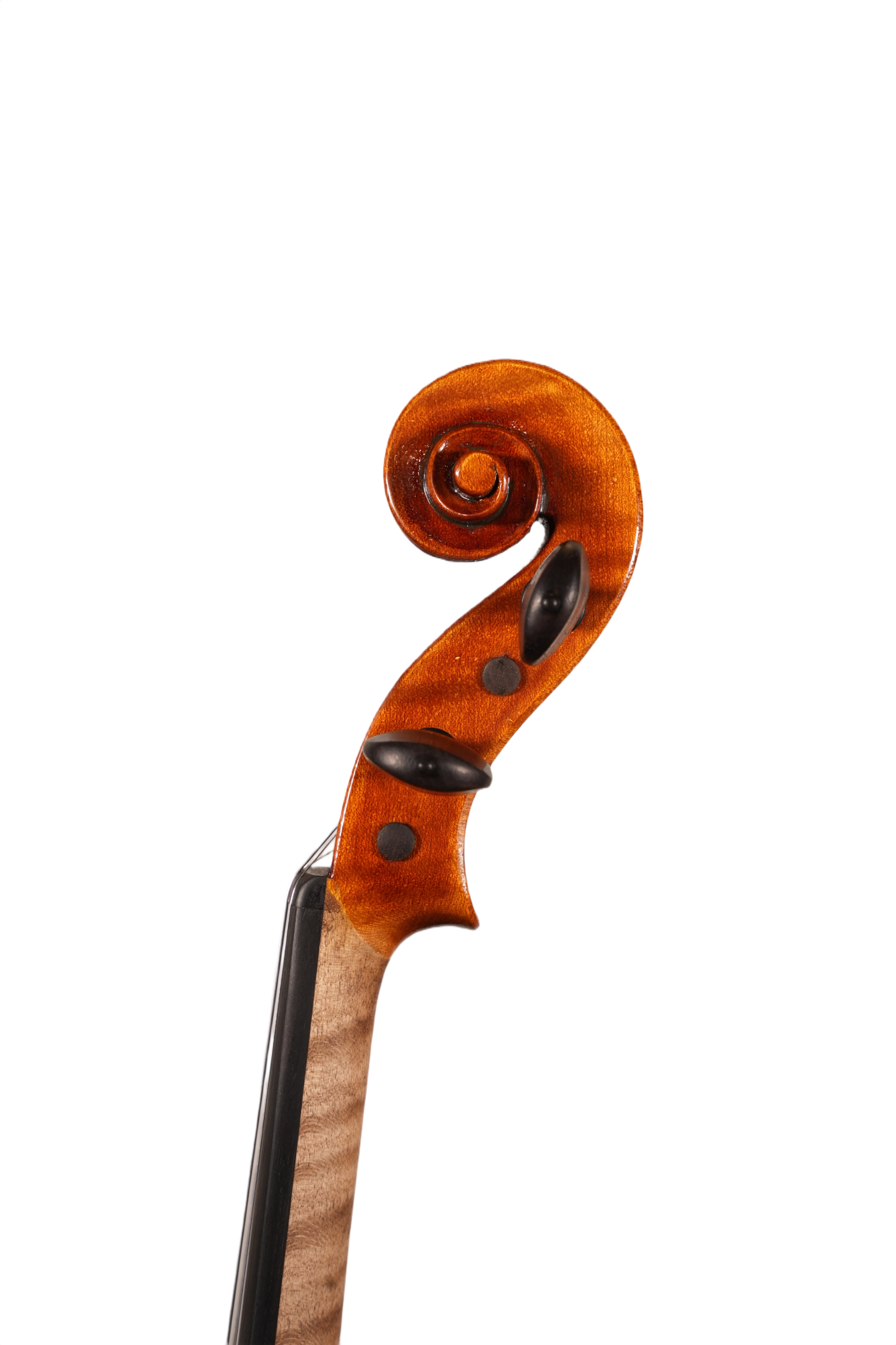 4/4 Lillo Salerno Workshop Violin Ex Cremonensis (anno 2025)