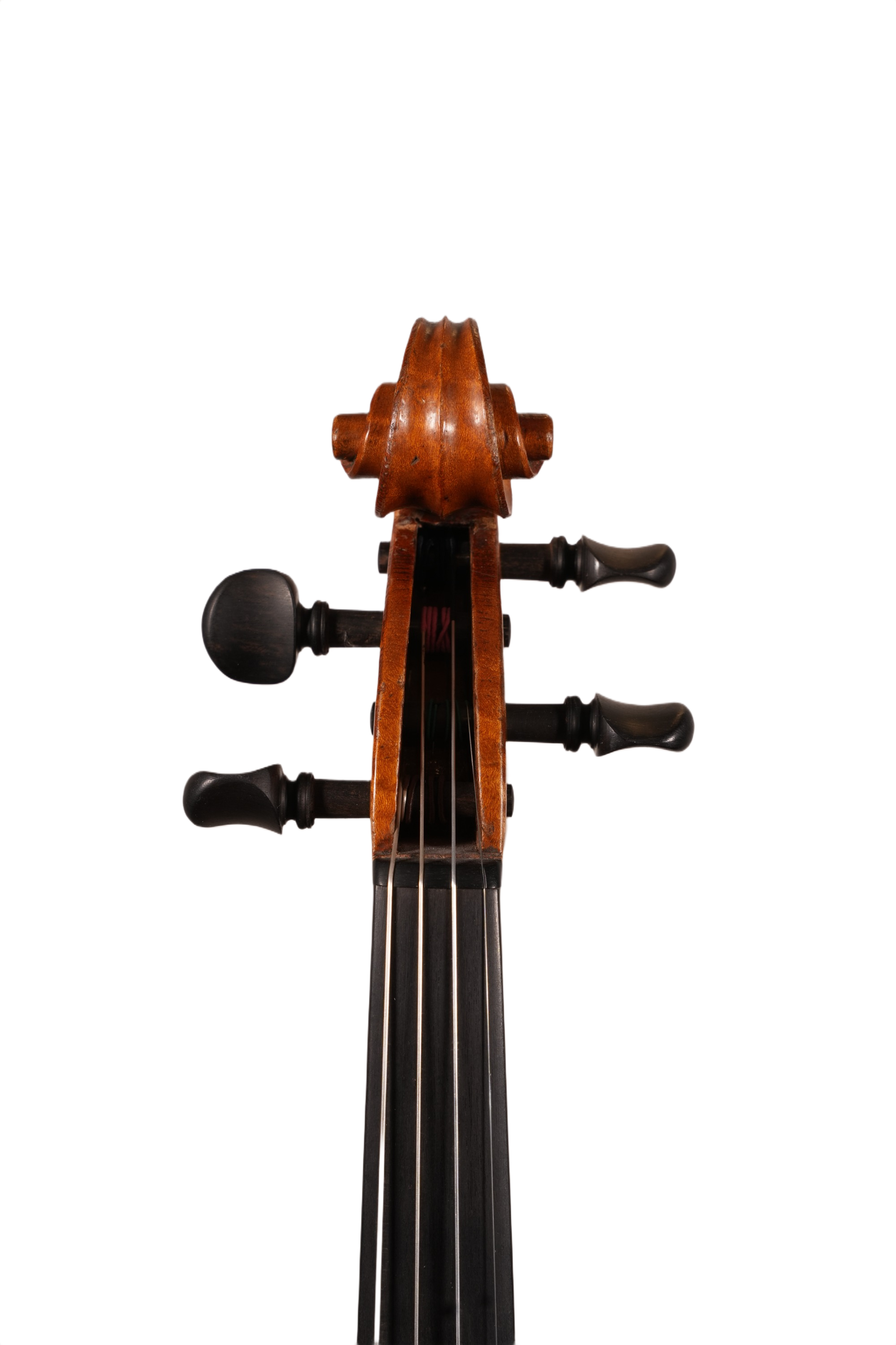 4/4 Violin Outfit - Andrea Verini (England 1891)