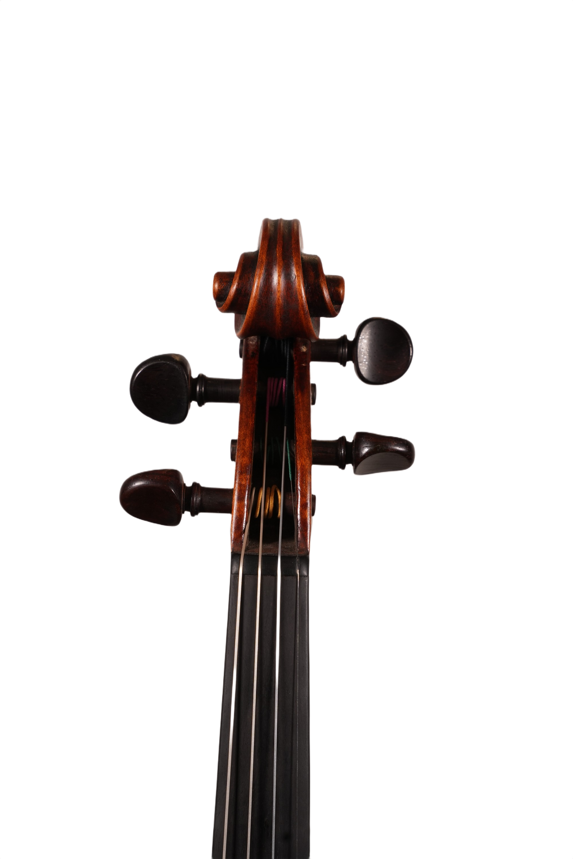 4/4 Violin Outfit - Ant. Carlotti