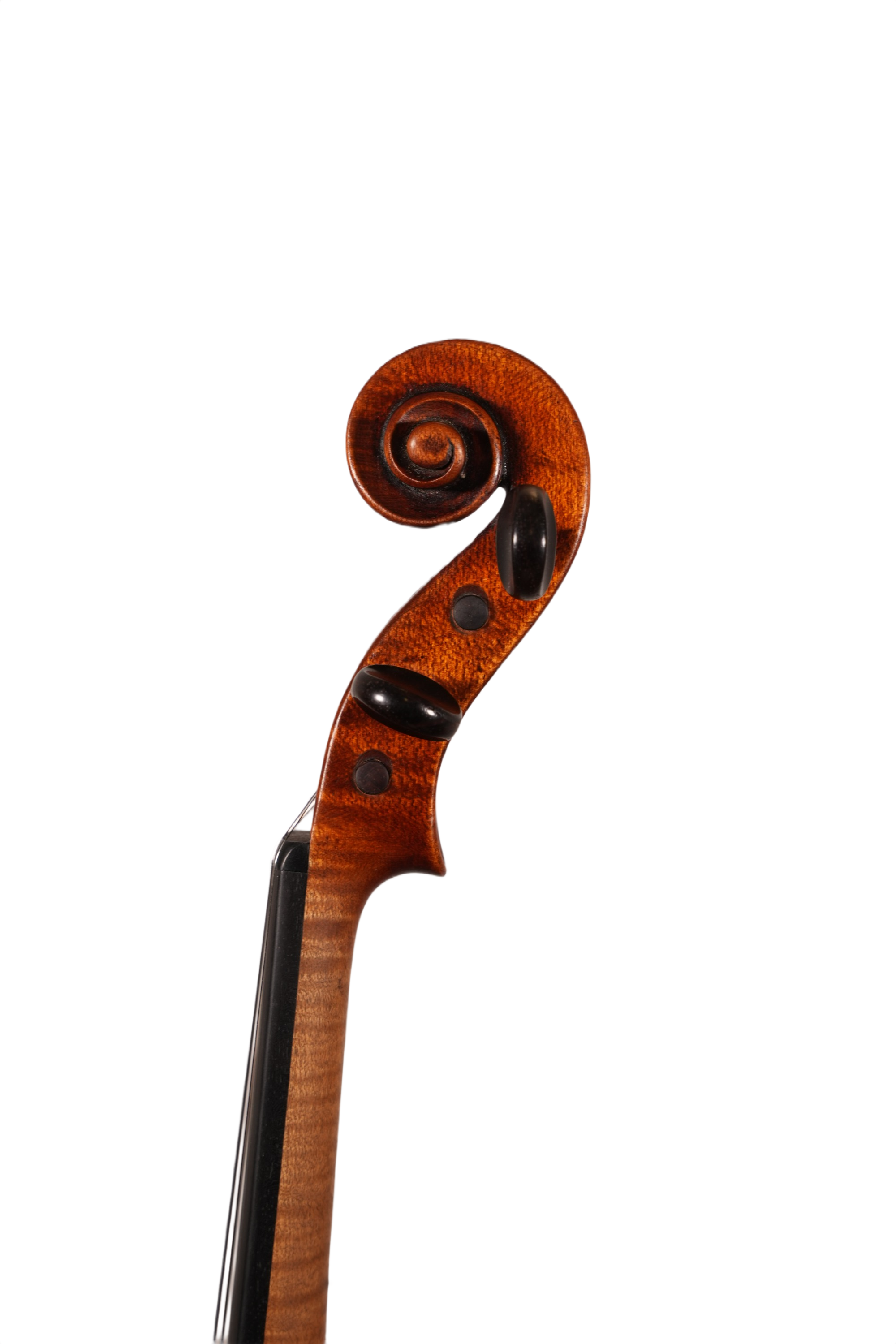 4/4 Violin Outfit - Ant. Carlotti