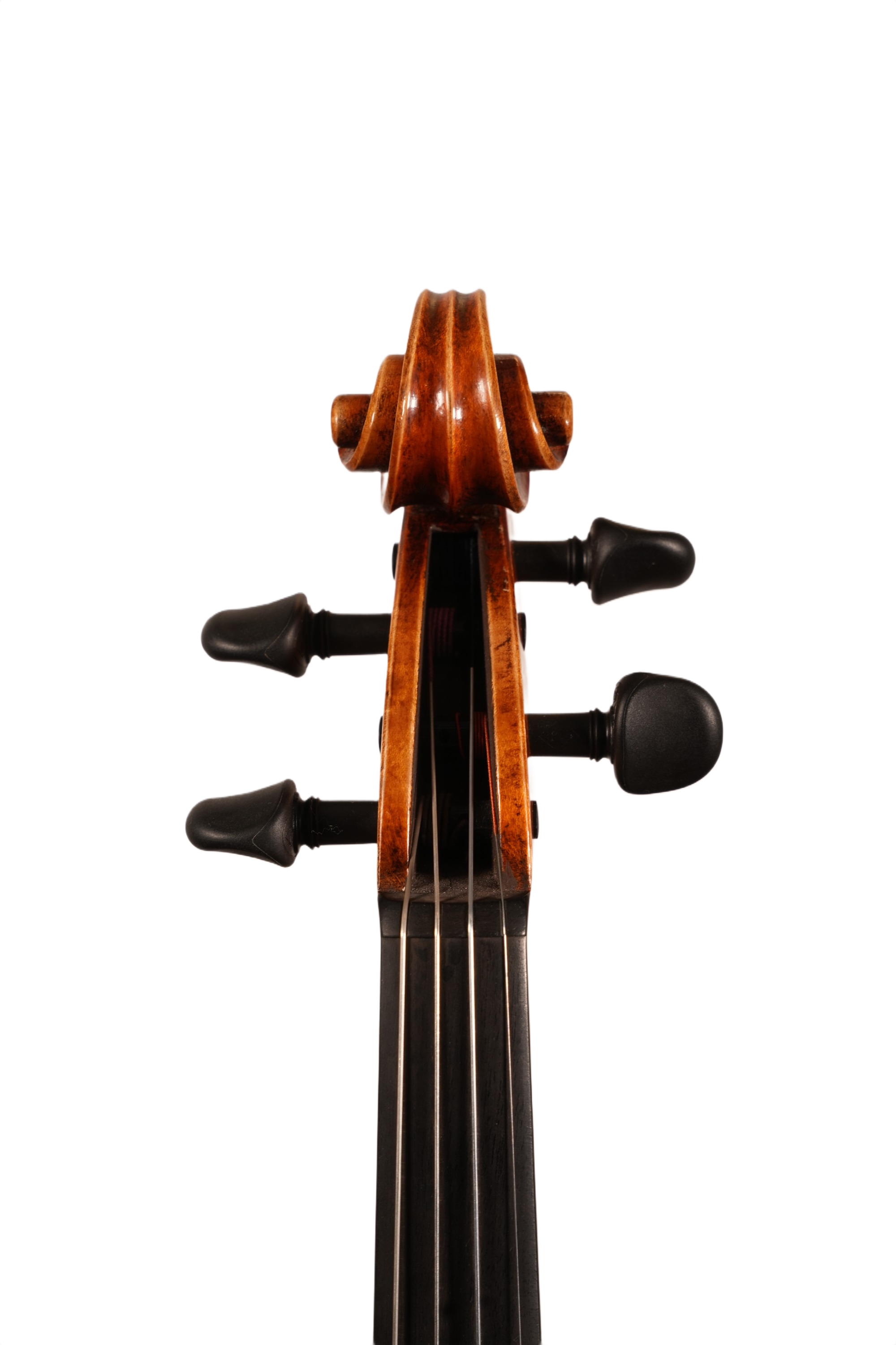 4/4 Violin Outfit - Petko Stoinov