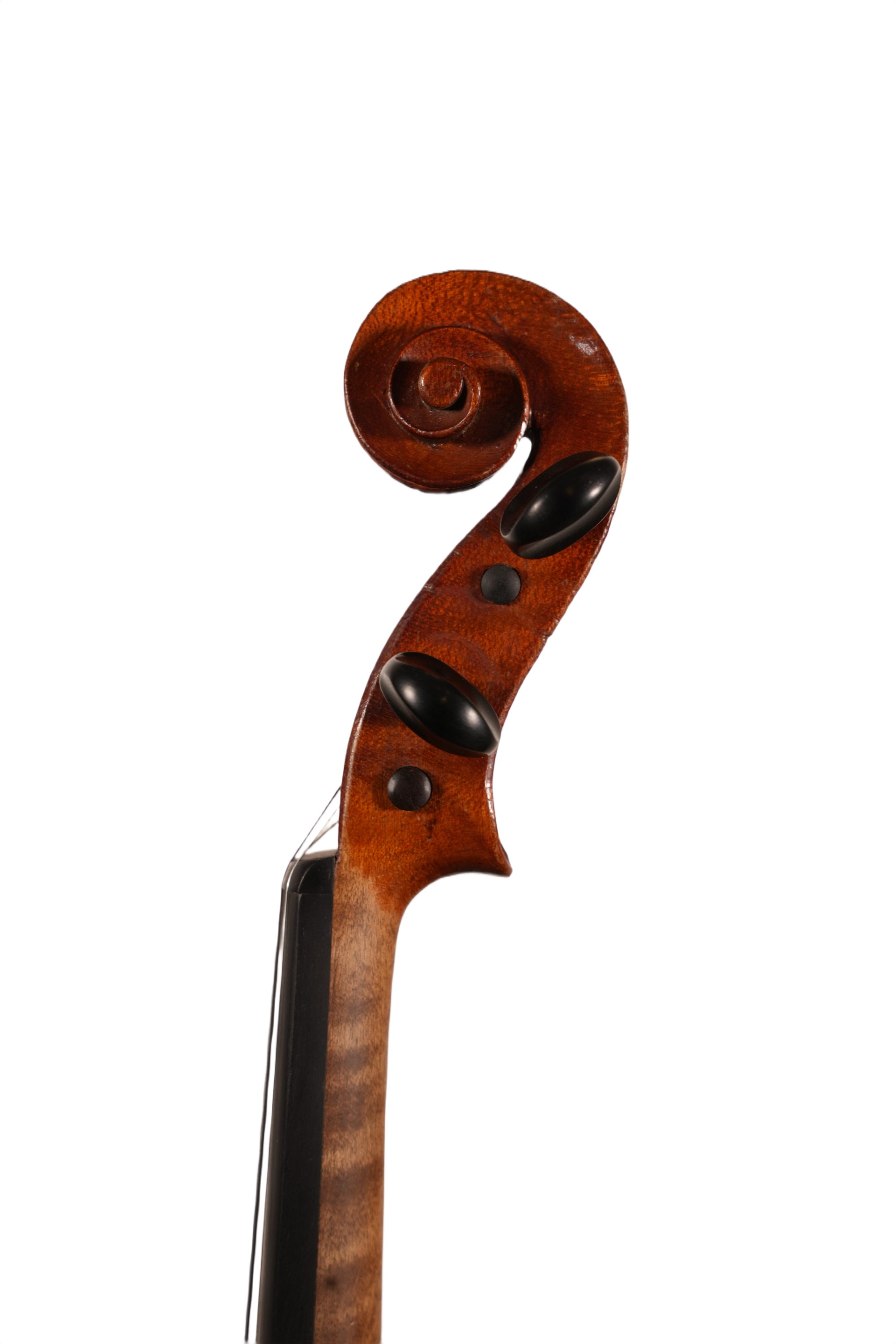 4/4 Violin Outfit - LS Model 10