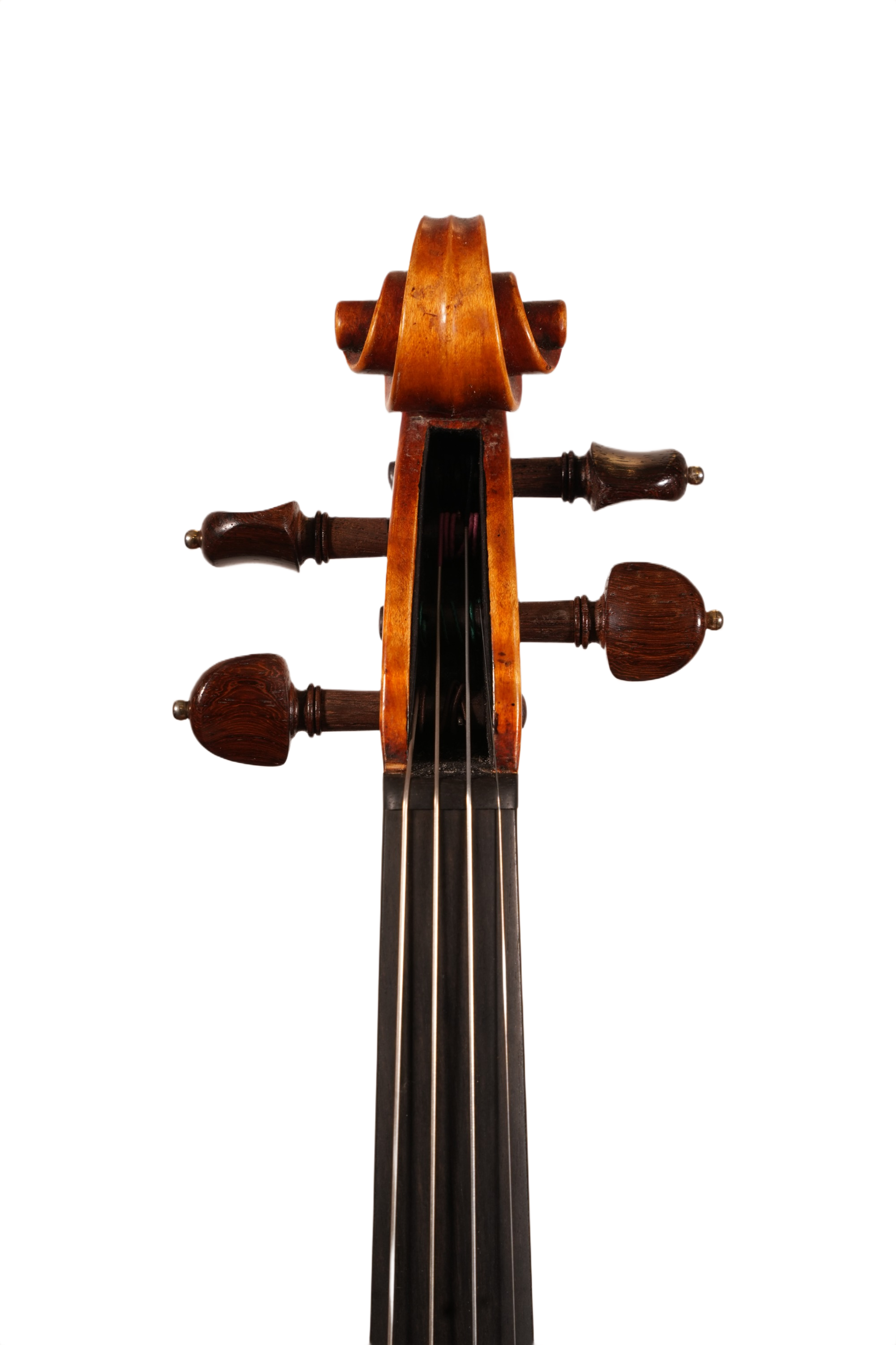 4/4 Violin Outfit - Frederich Wyss (2017)