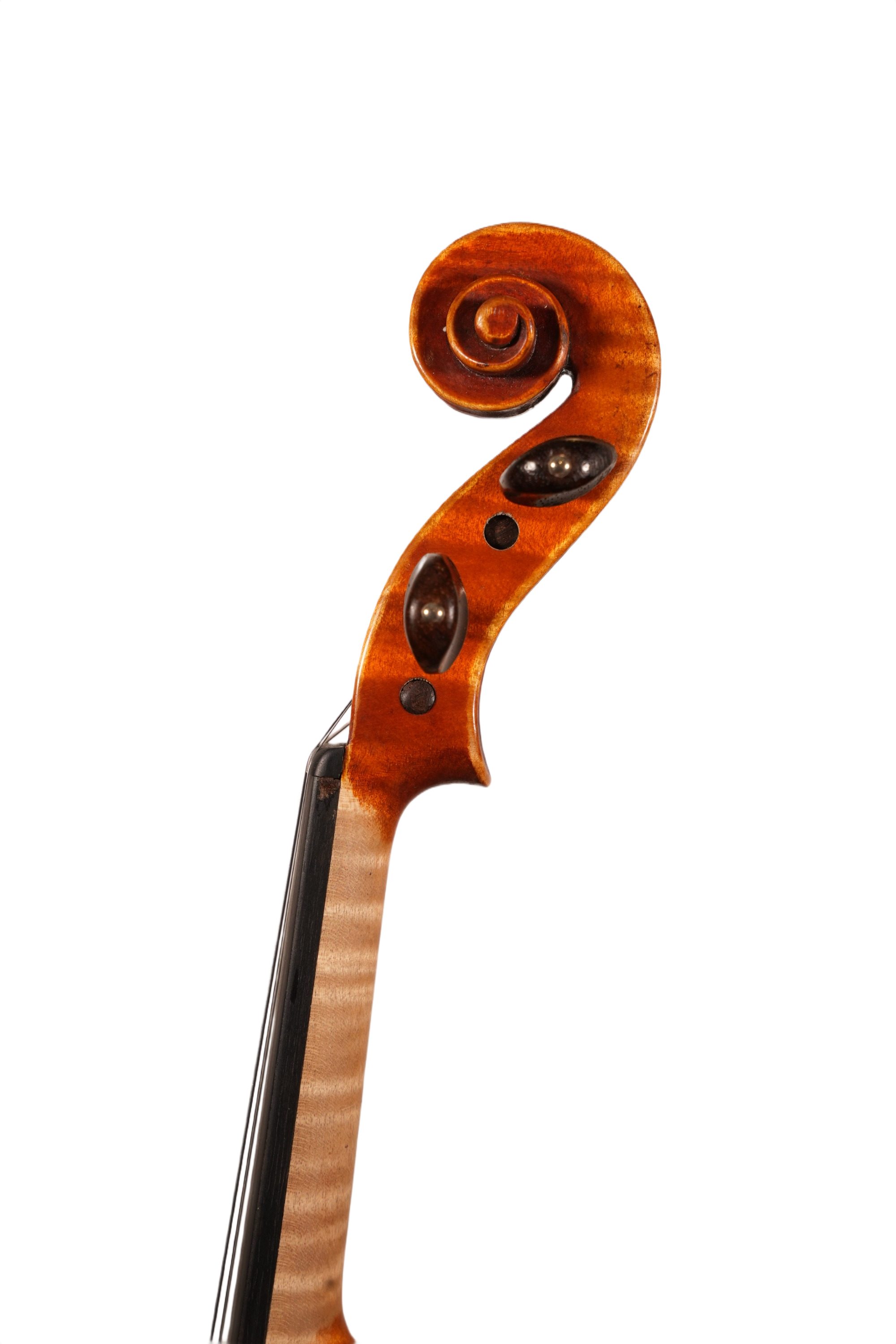 4/4 Violin Outfit - Frederich Wyss (2017)