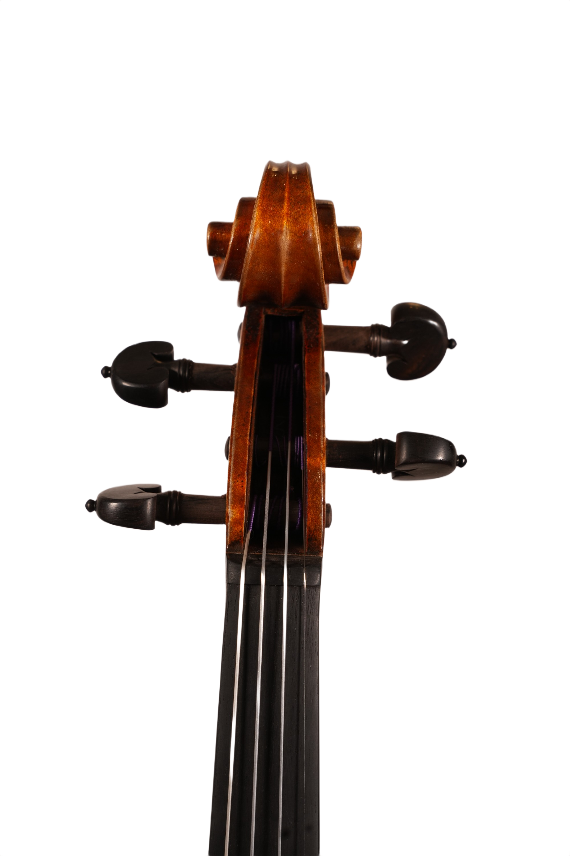 4/4 Violin Outfit - LS Model D5