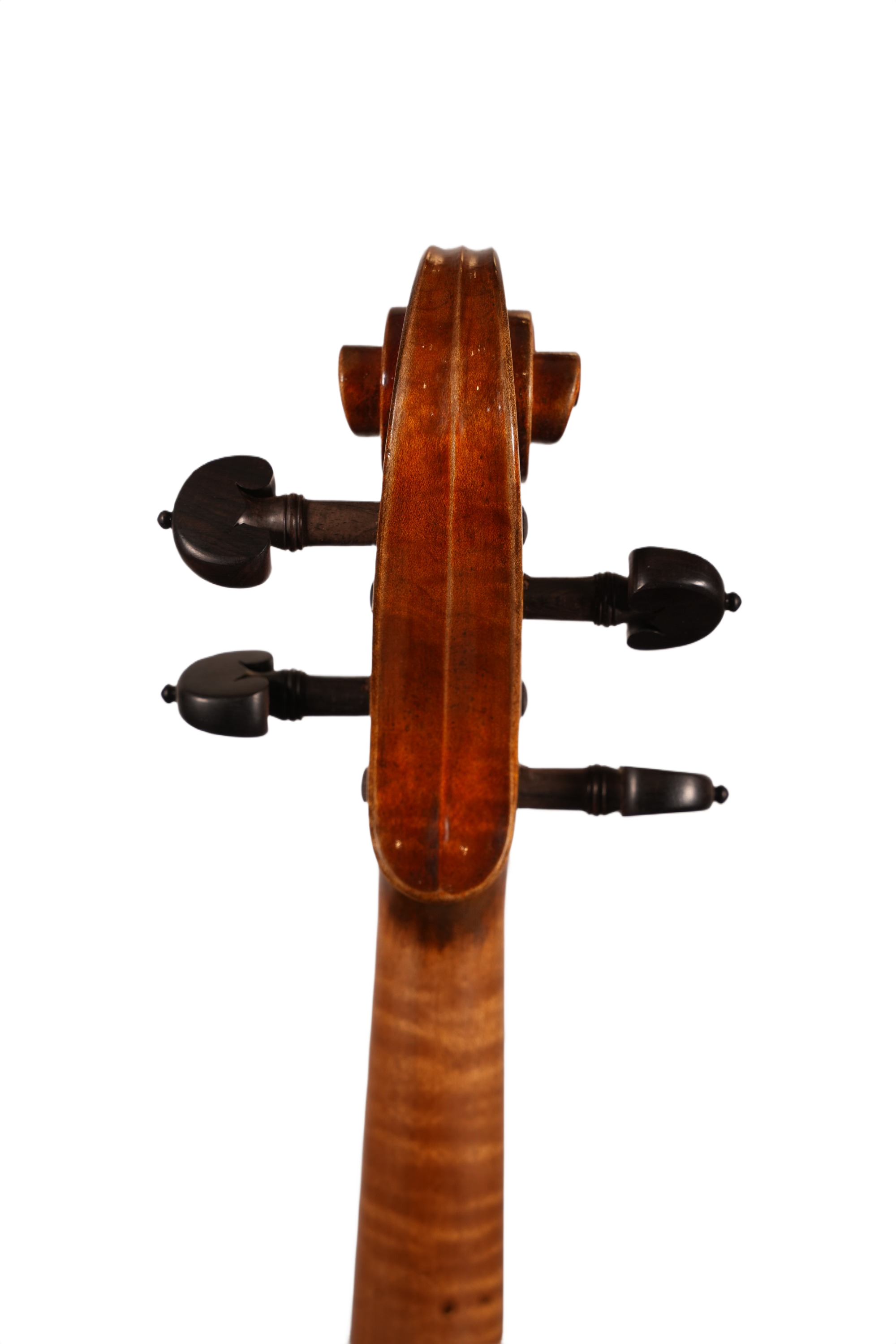4/4 Violin Outfit - LS Model D5