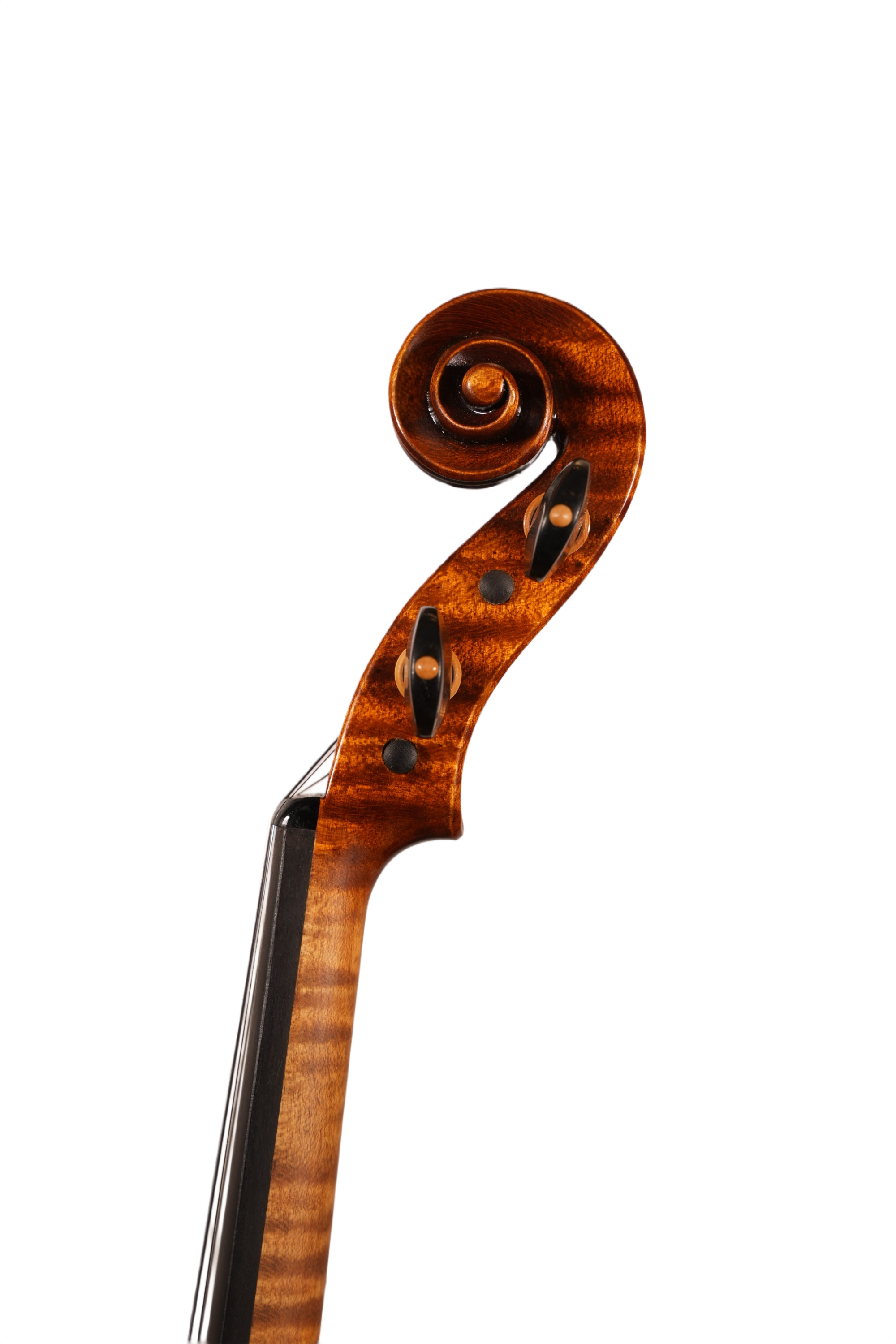 4/4 Violin Outfit - Petko Stoinov (Kazanlak, anno. 2025)