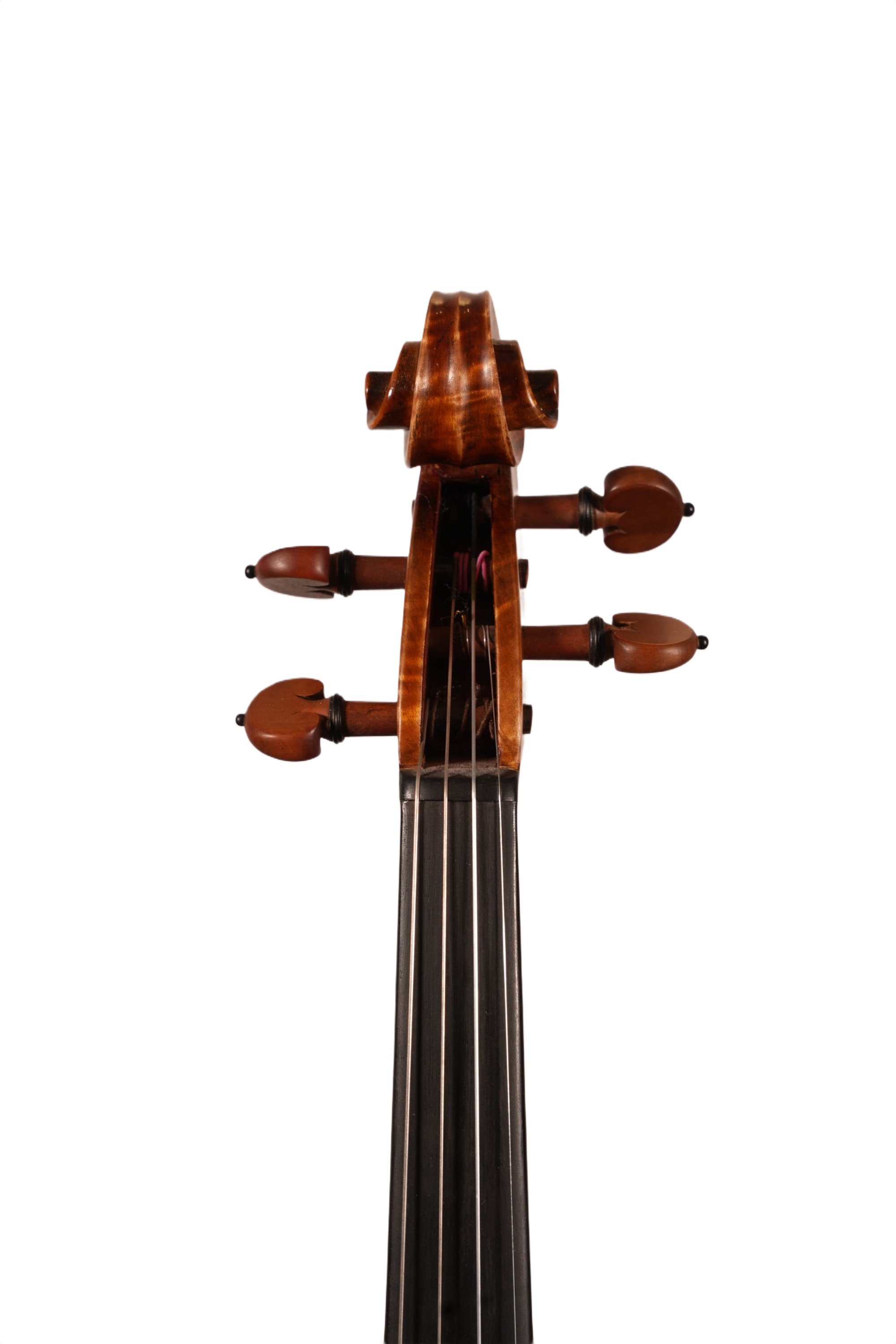 4/4 Violin Outfit - Sandro Luciano (2020)