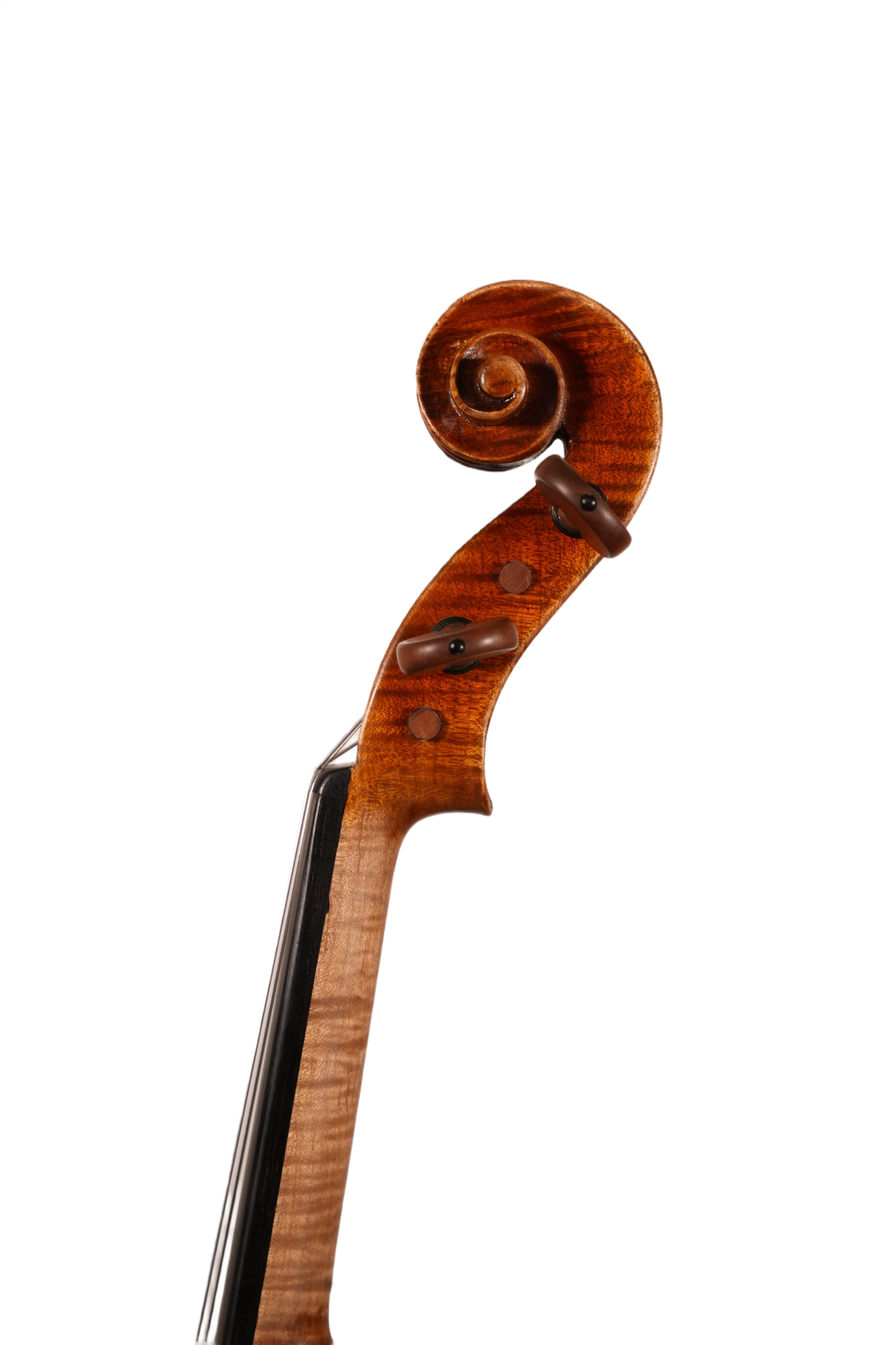 4/4 Violin Outfit - Sandro Luciano (2020)