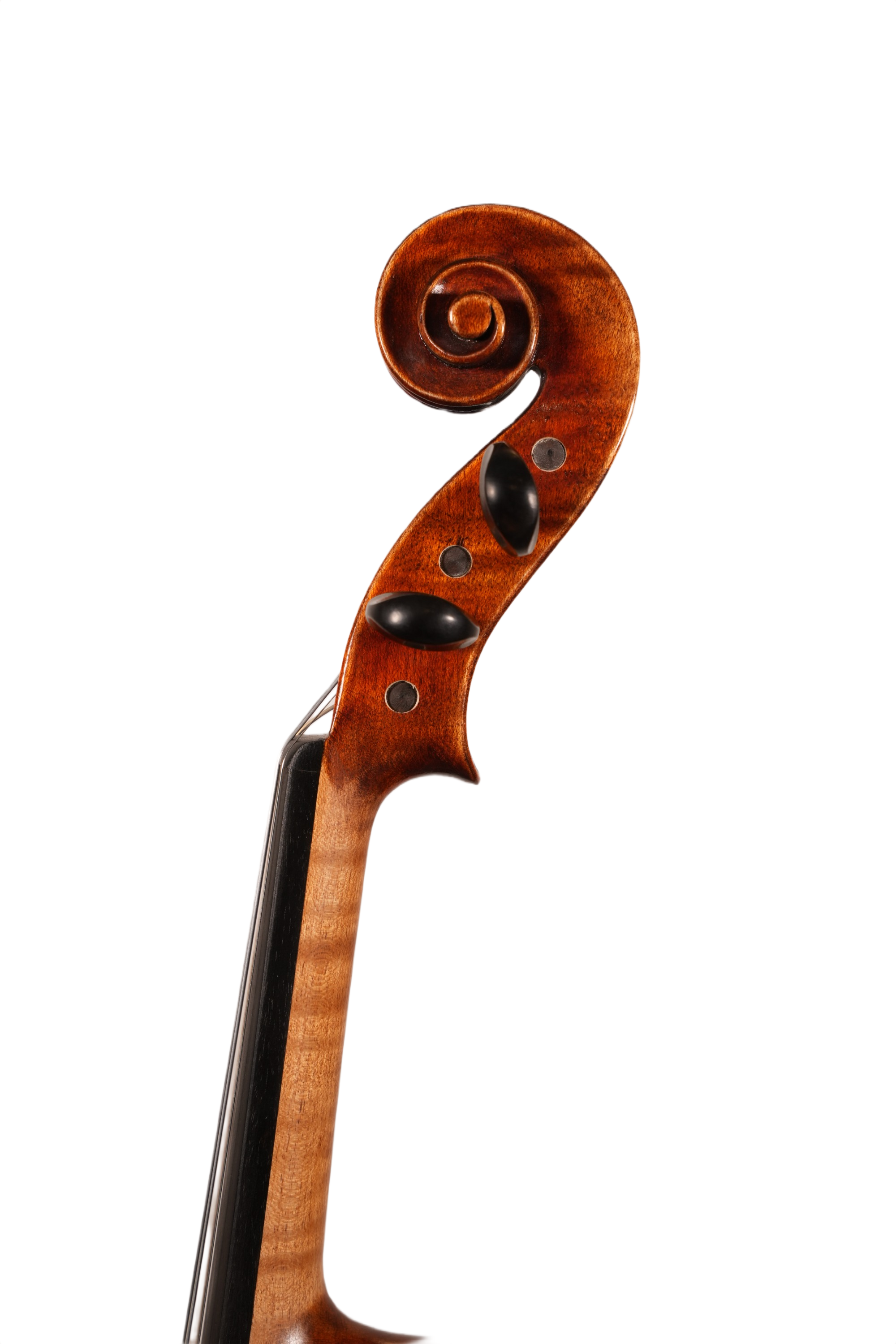 4/4 Violin Outfit - 5 String