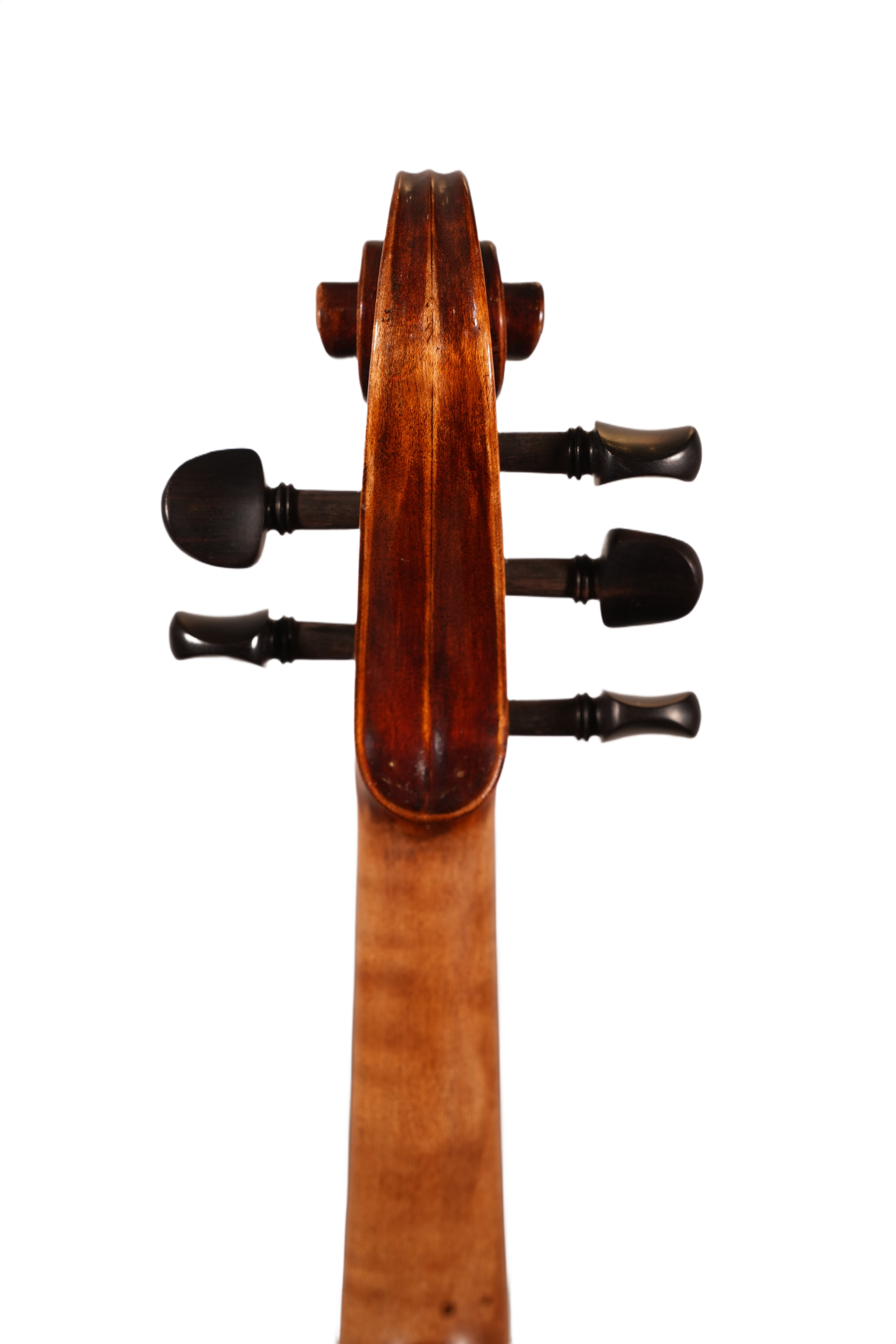 4/4 Violin Outfit - 5 String