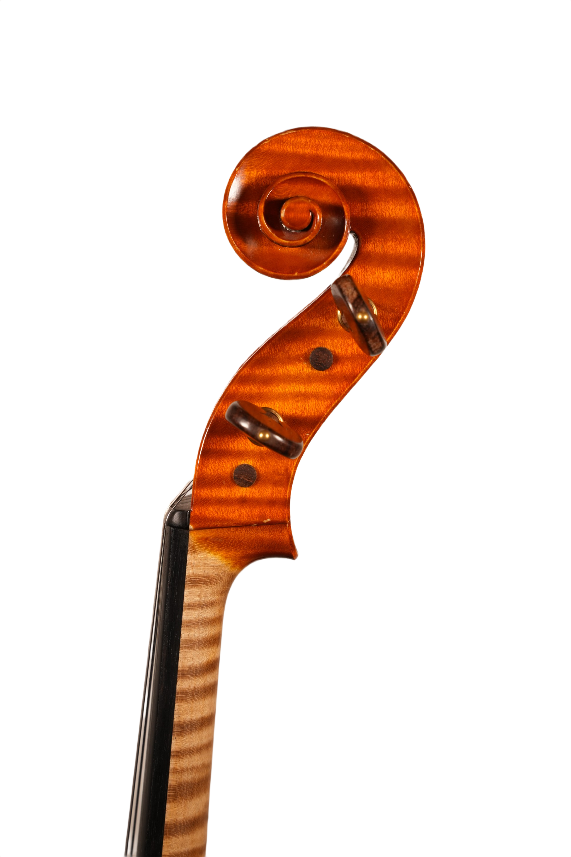 16.5" Viola Outfit - Claudio Maria Mazzolari