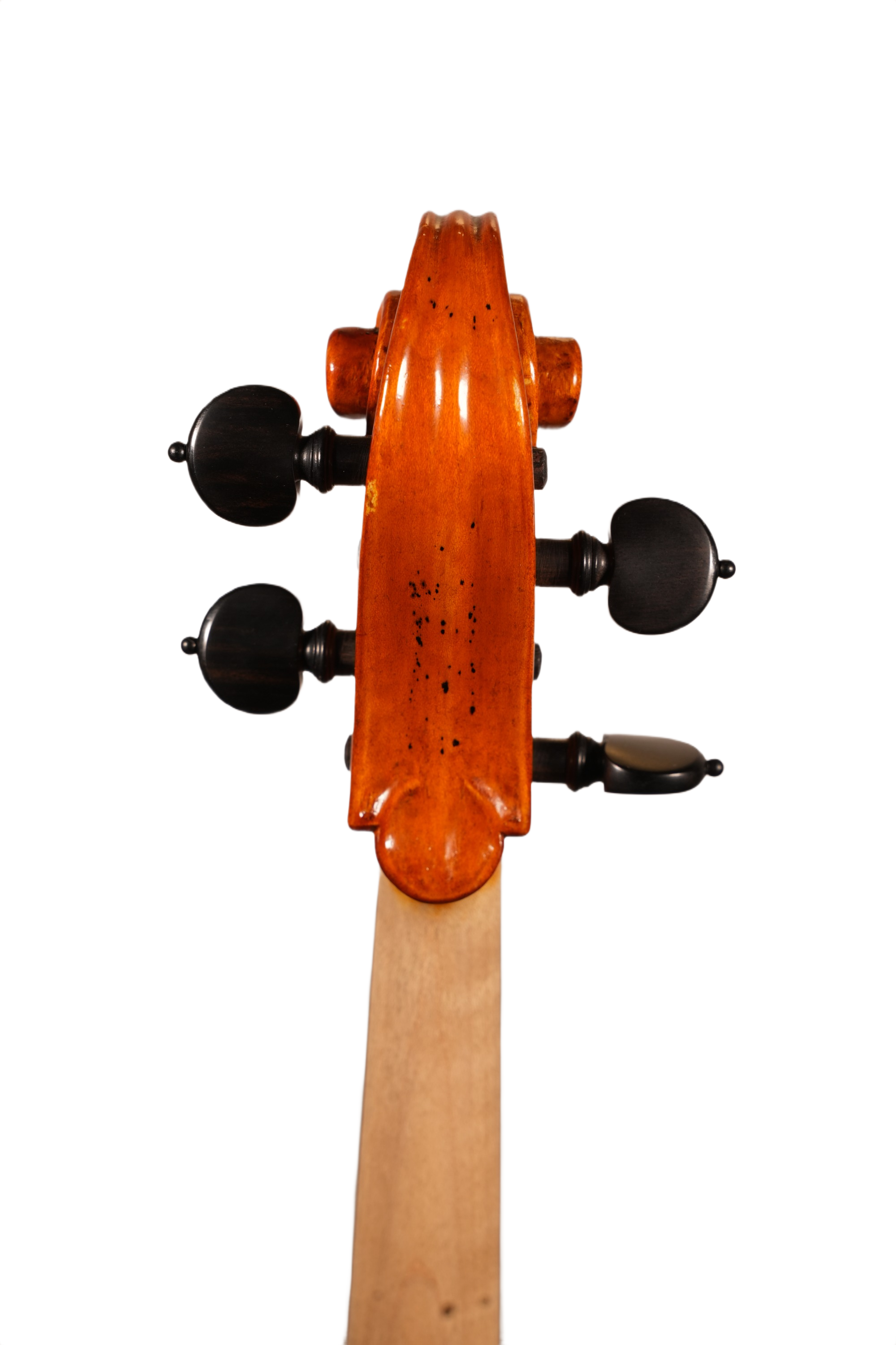 16.5" Viola Outfit - Juliano Na 2016
