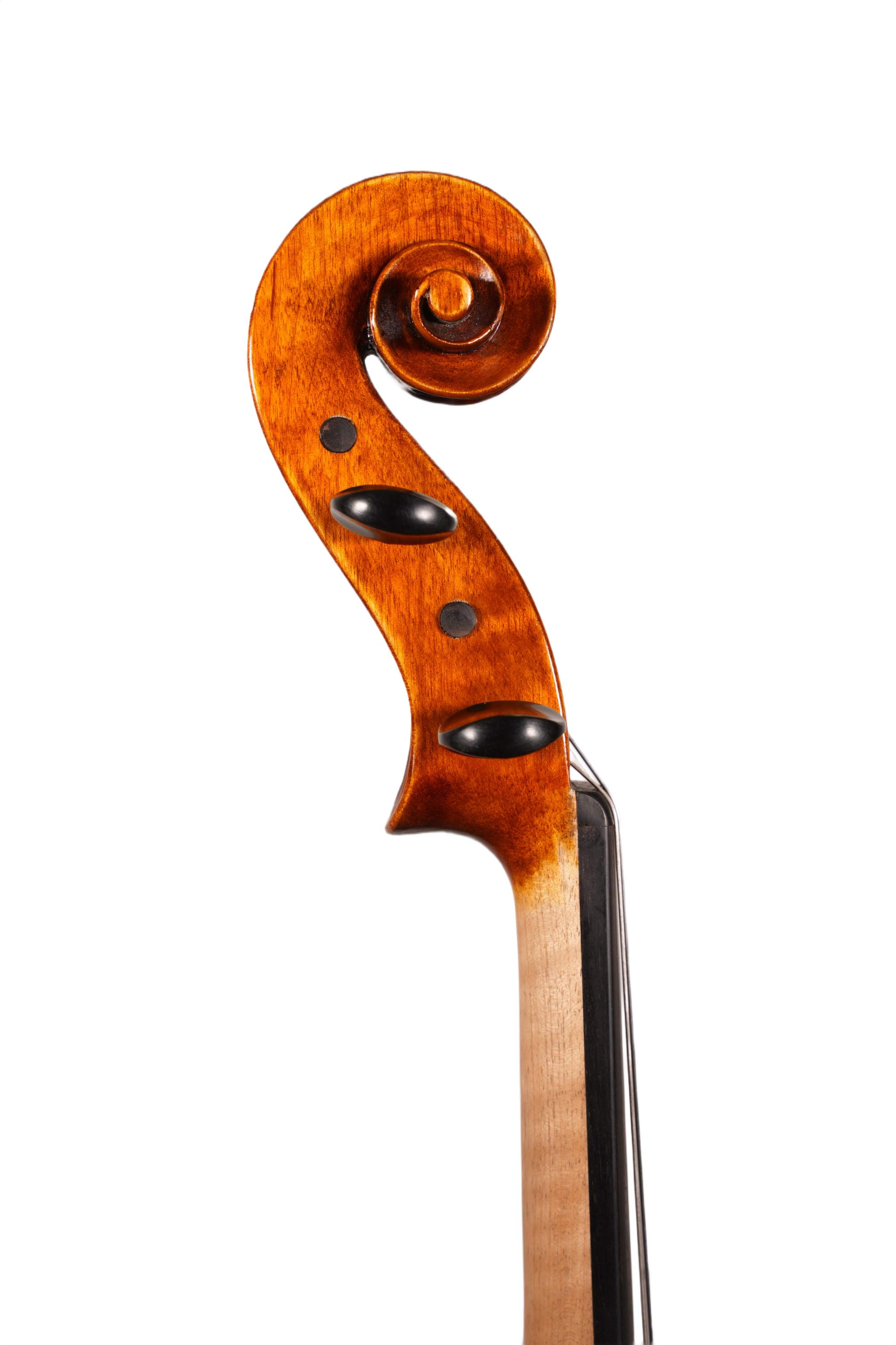 16.5" Viola Outfit - Terra Nova 2011