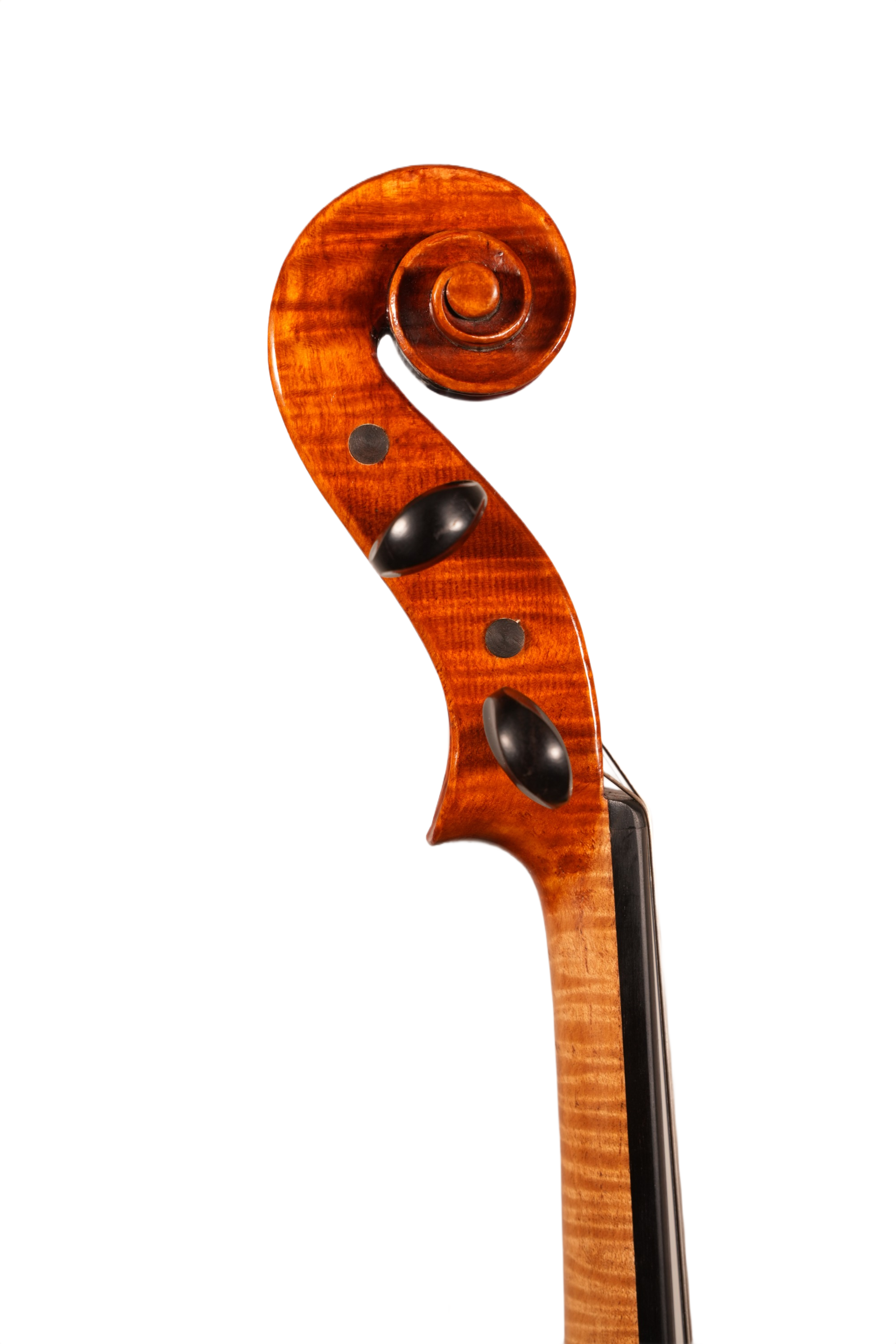16.5" Viola Outfit - LS Model DT