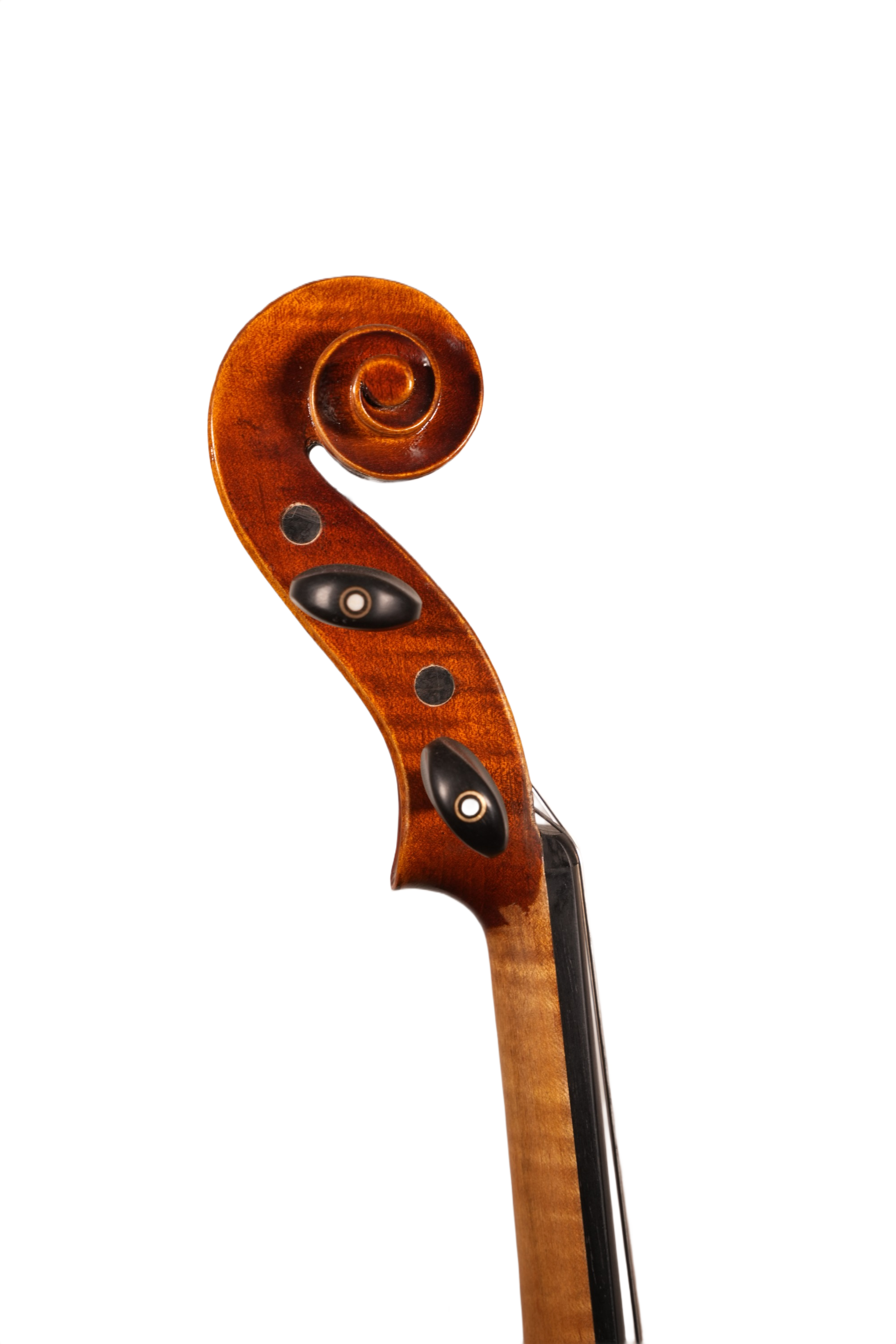 16" Viola Outfit - LS Model