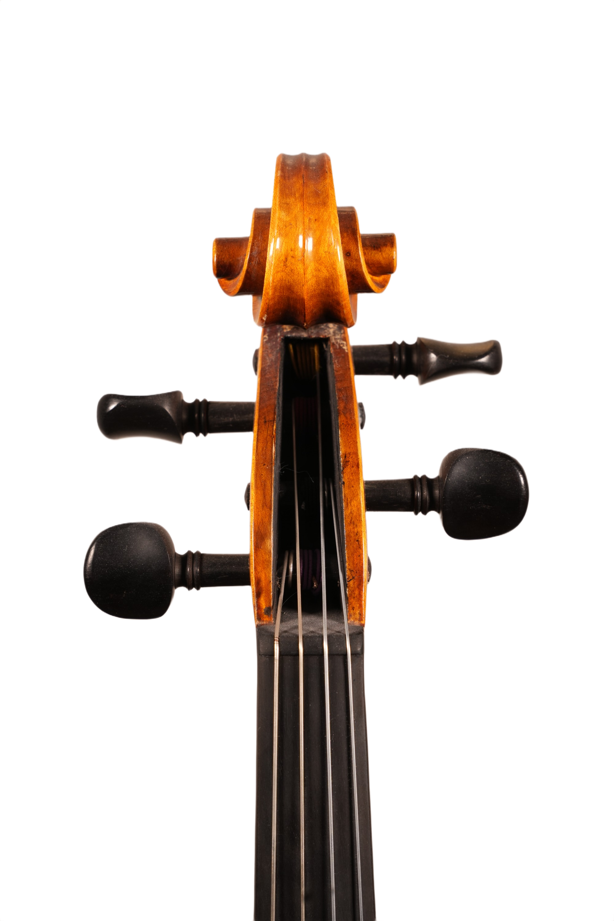 16" Viola Outfit - FN520 Model