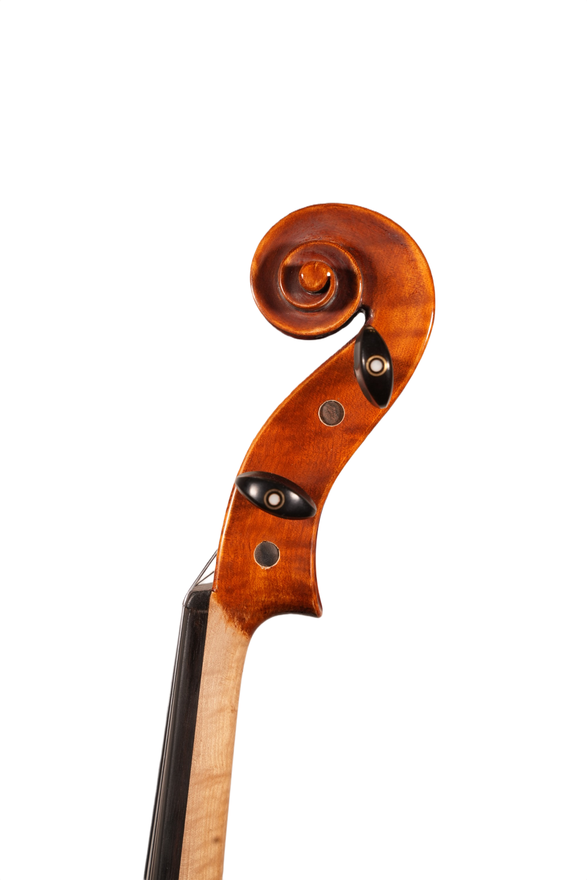 15.75" Viola Outfit - LS Model XD