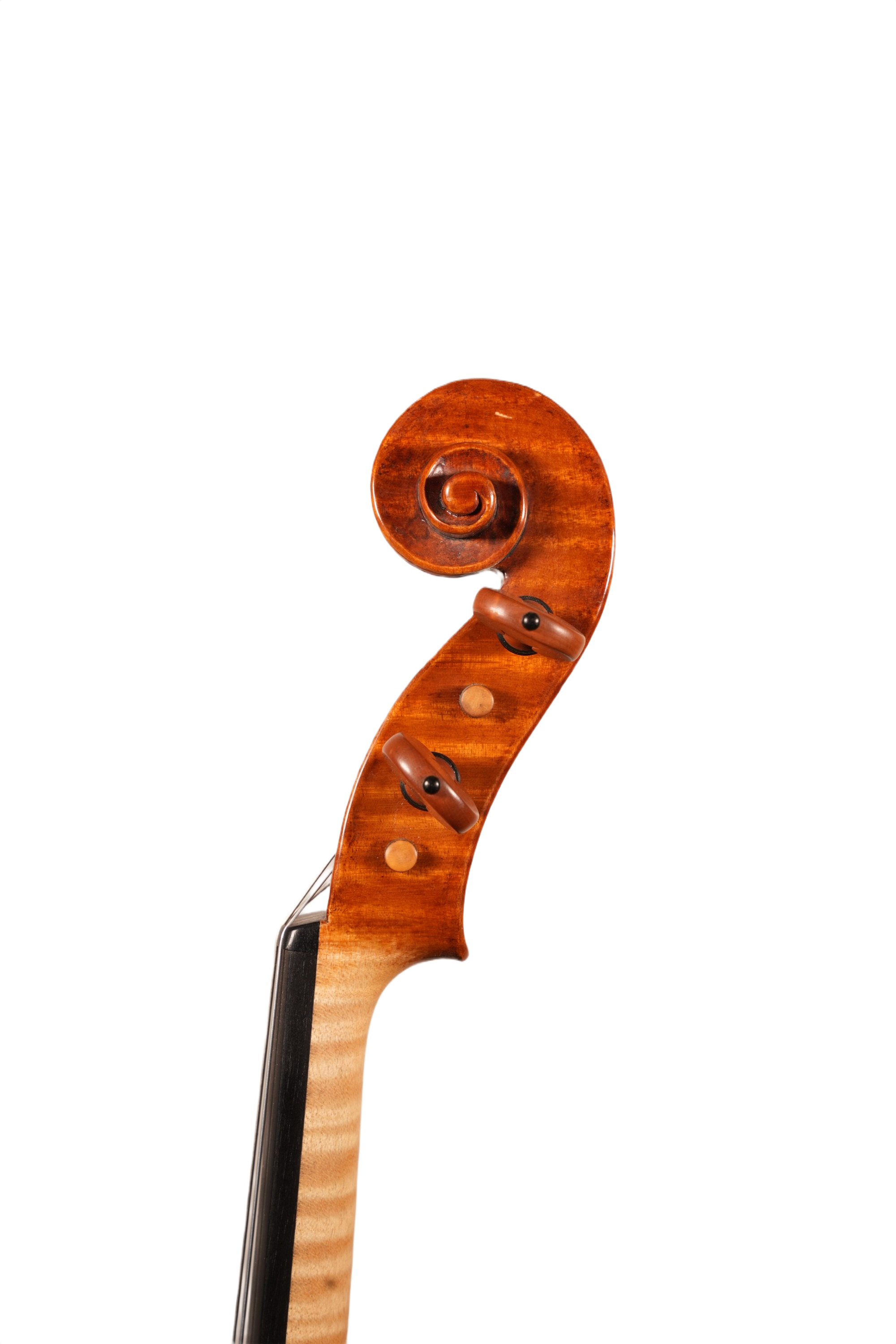 16.5" Viola Outfit - Bruno Costardi