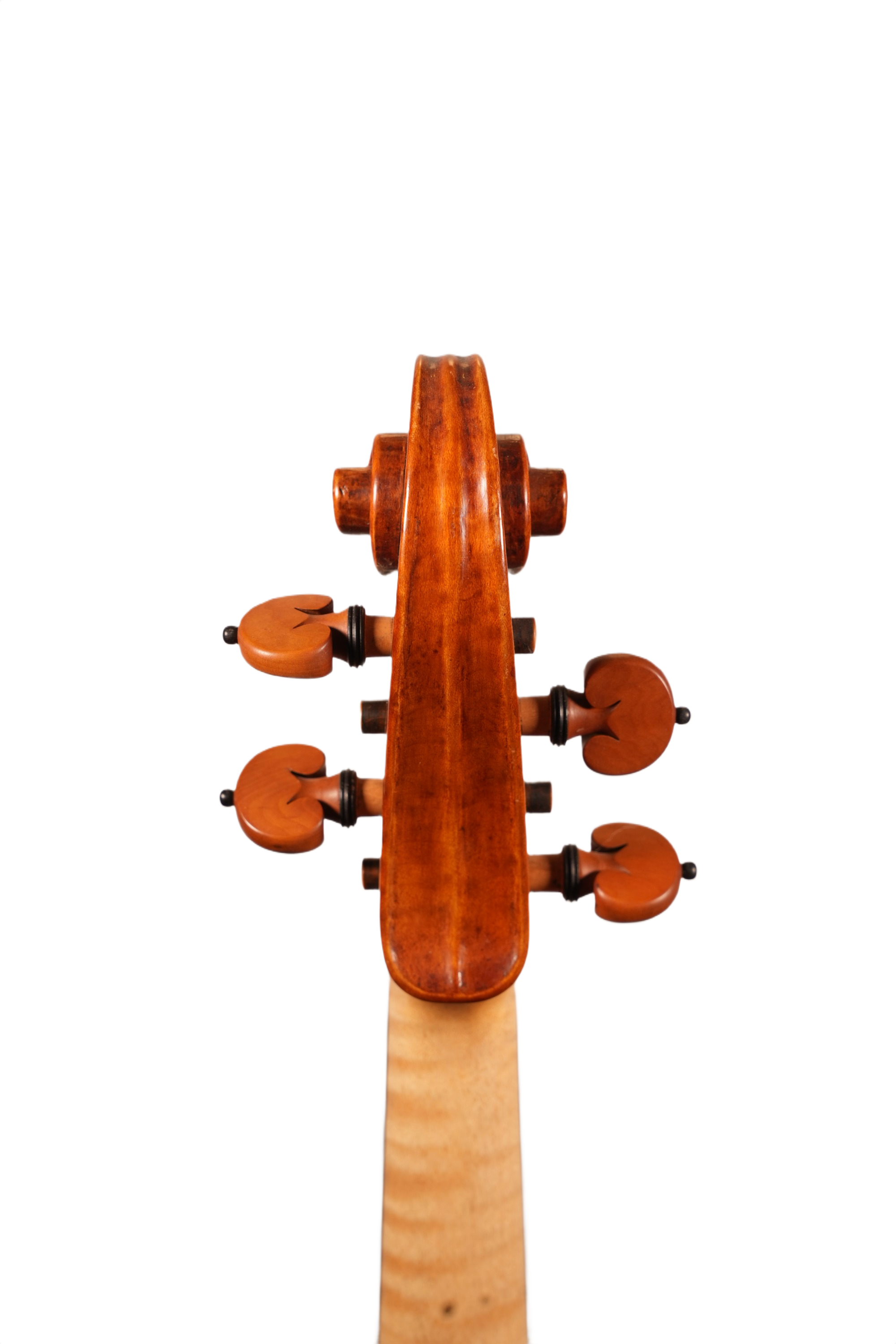 16.5" Viola Outfit - Bruno Costardi