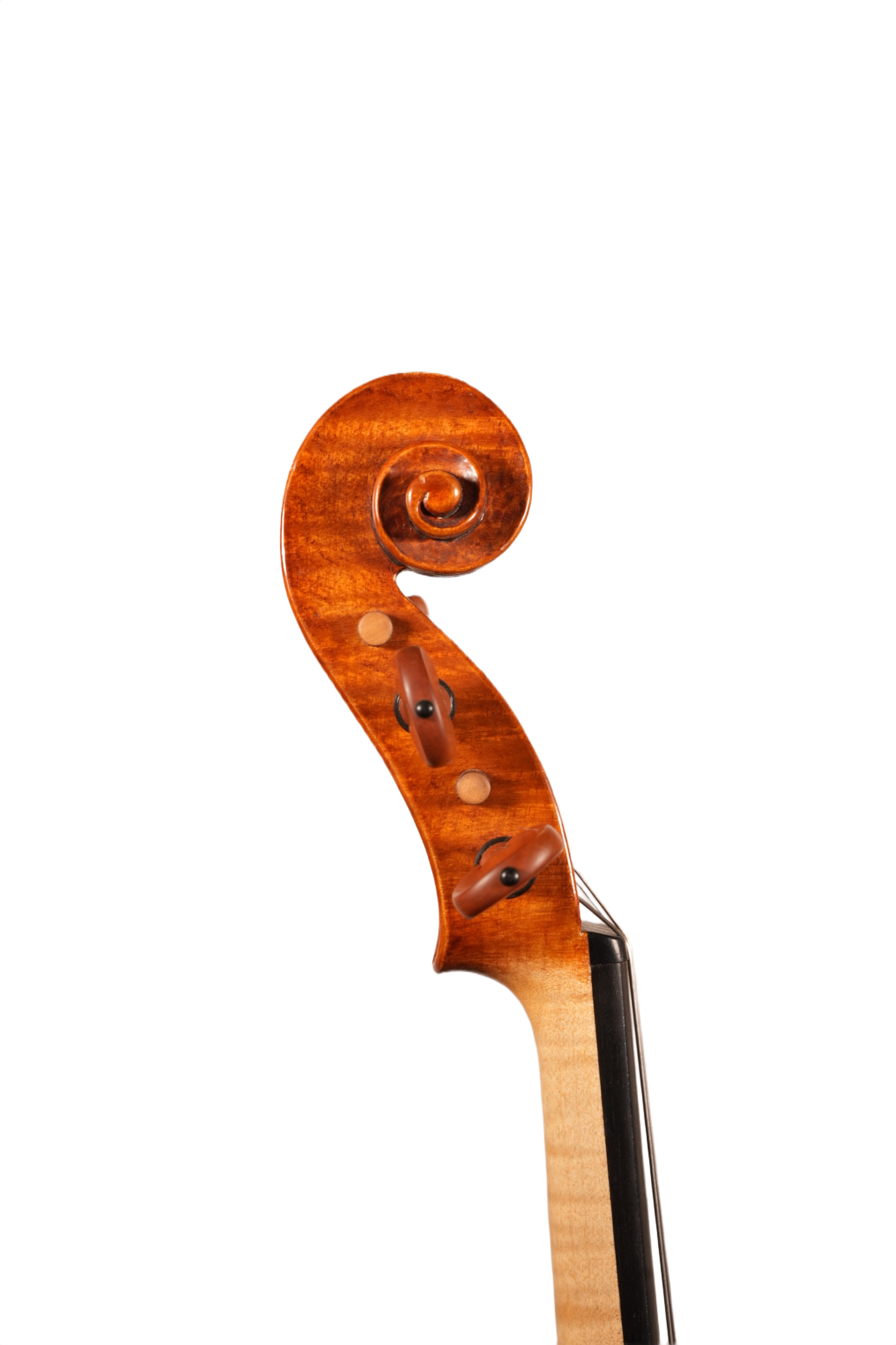 15.75” Viola Outfit - Bruno Costardi (Italy 2010)