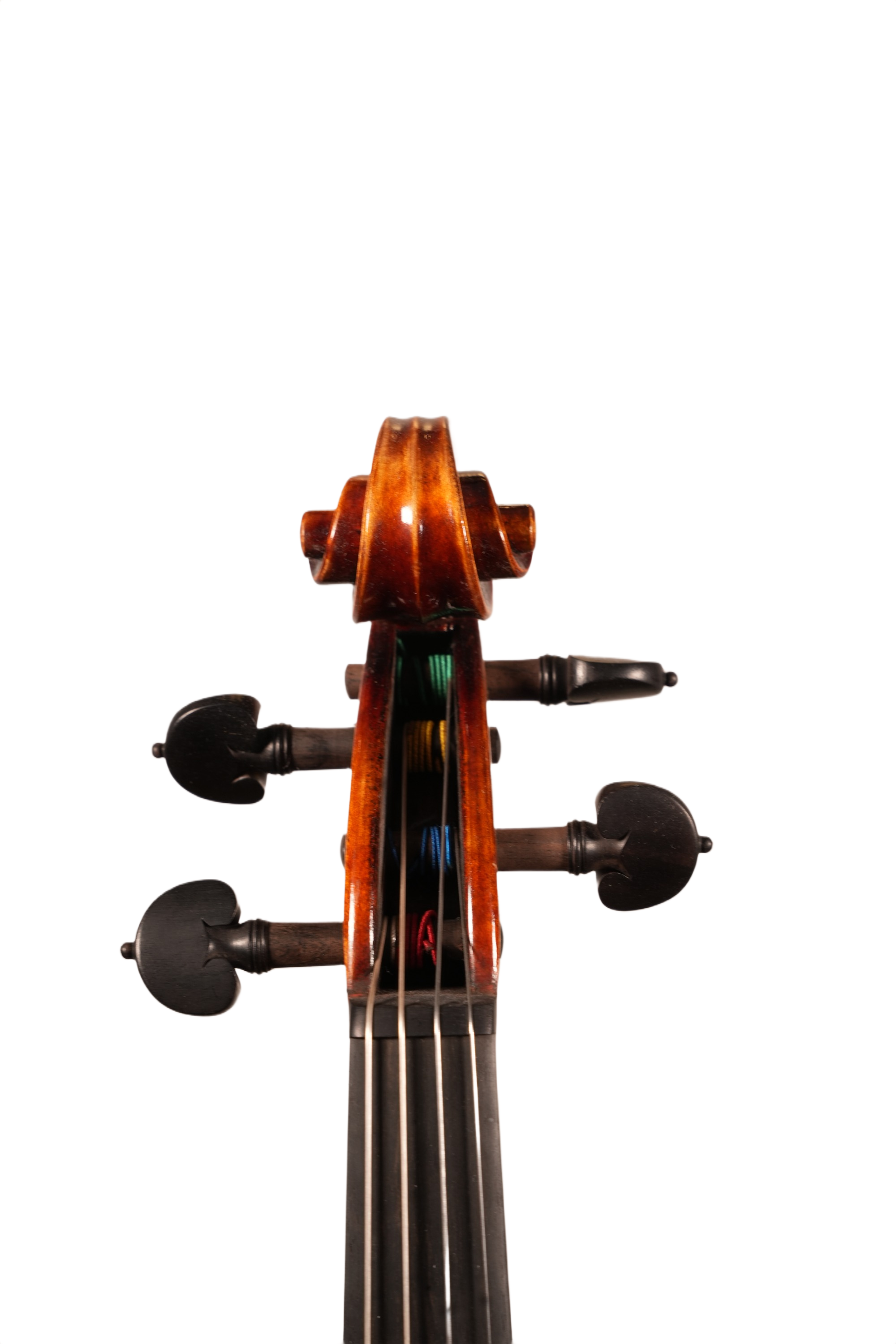 15.5" Viola Outfit - LS ET Model