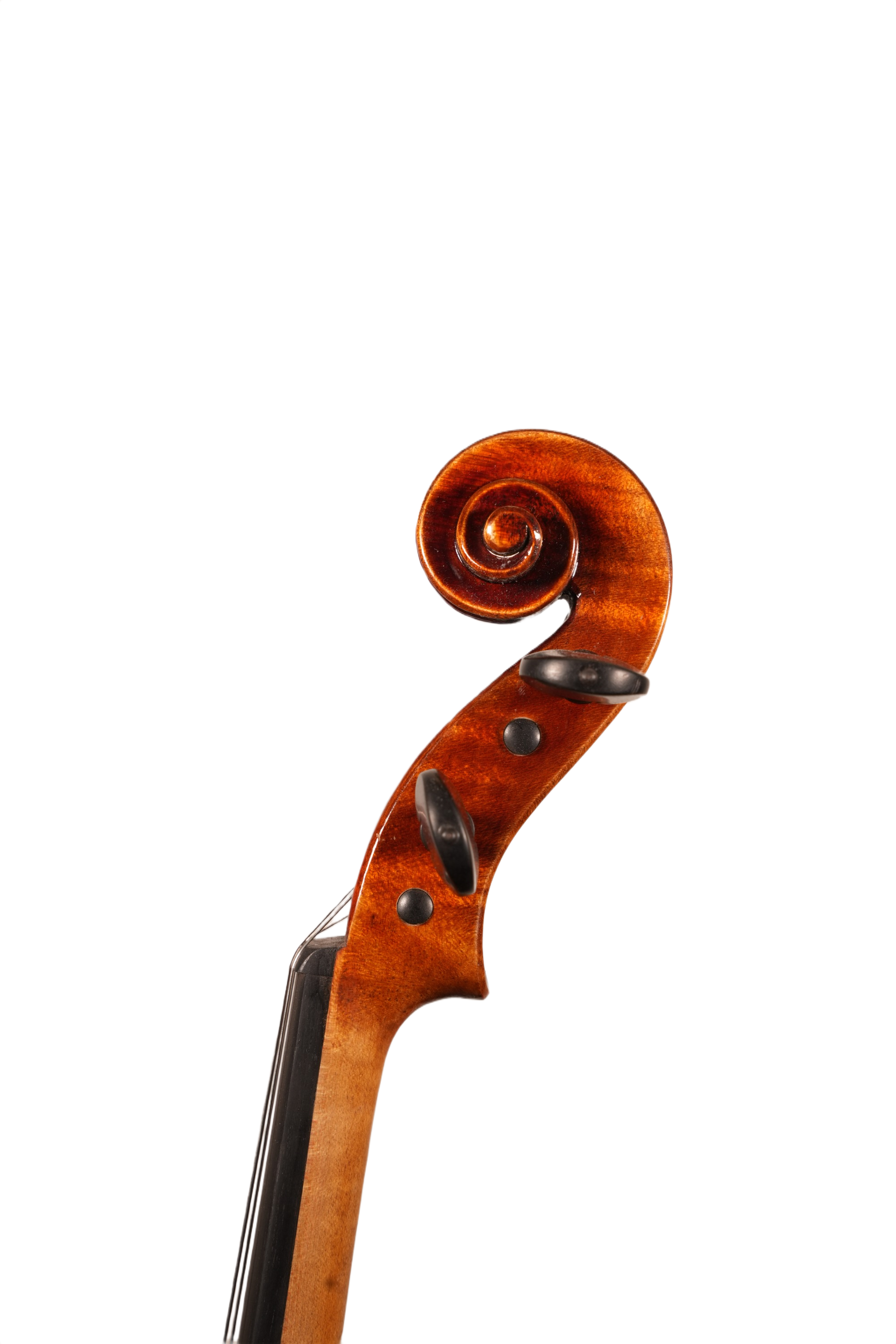 15.5" Viola Outfit - LS ET Model