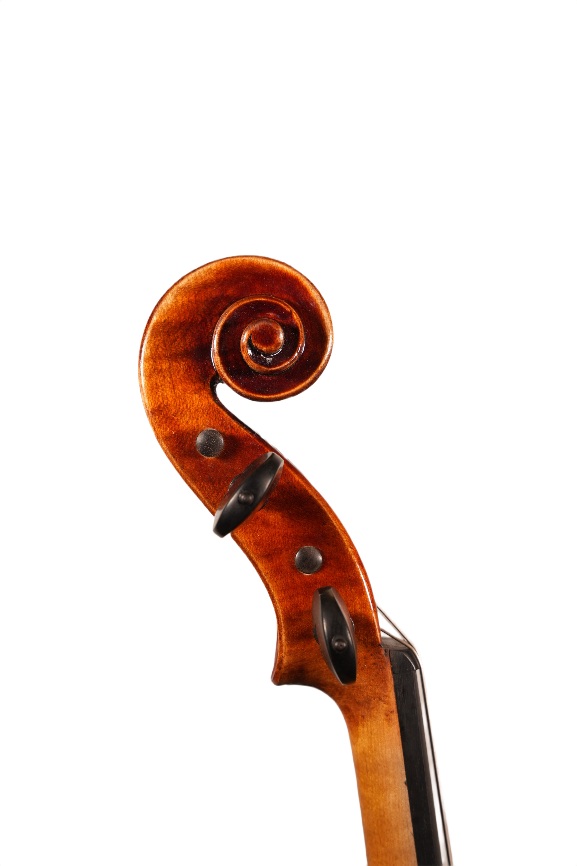 15.5" Viola Outfit - LS ET Model