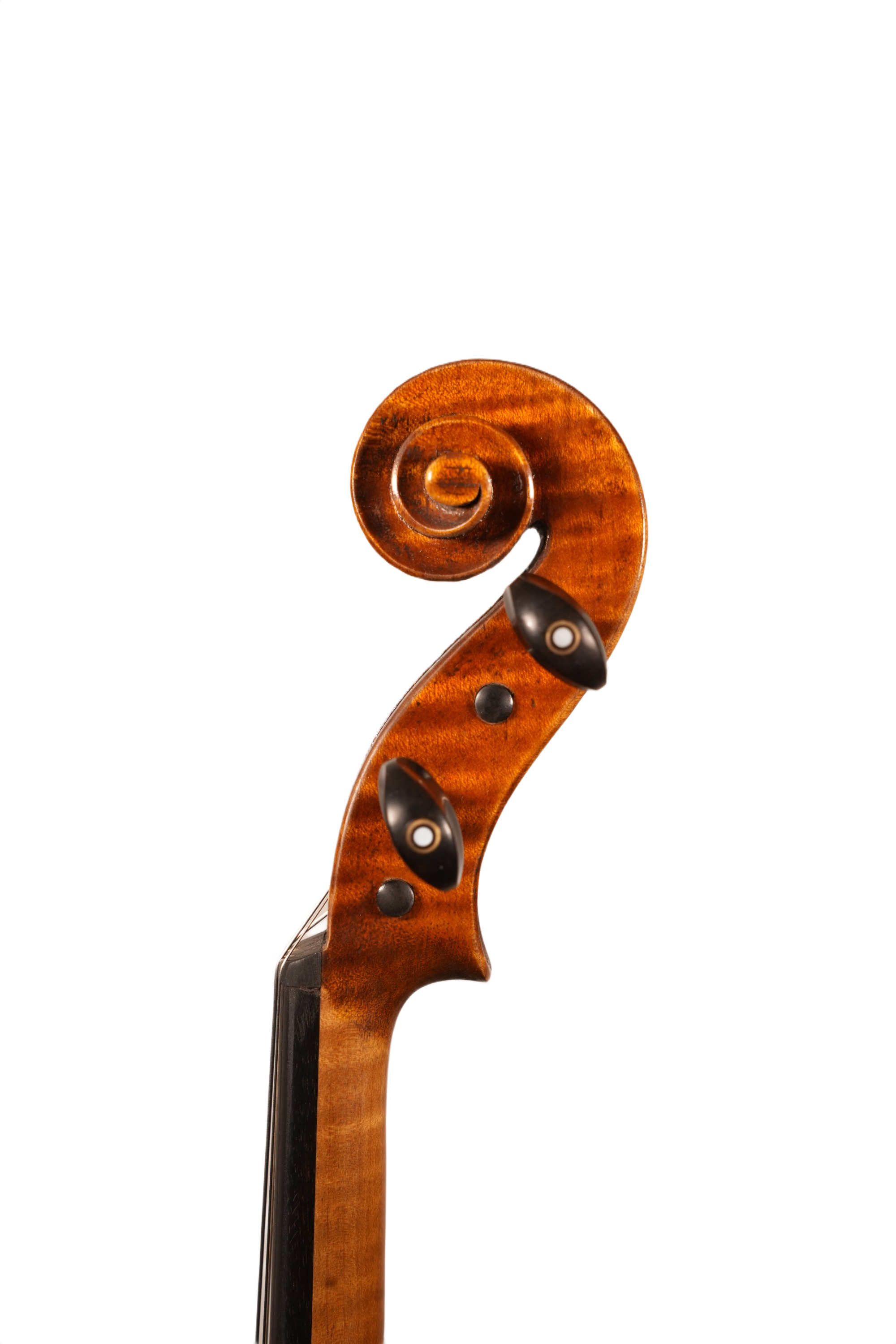 15.5" Viola Outfit - Unlabeled LS Model (anno. 2025)