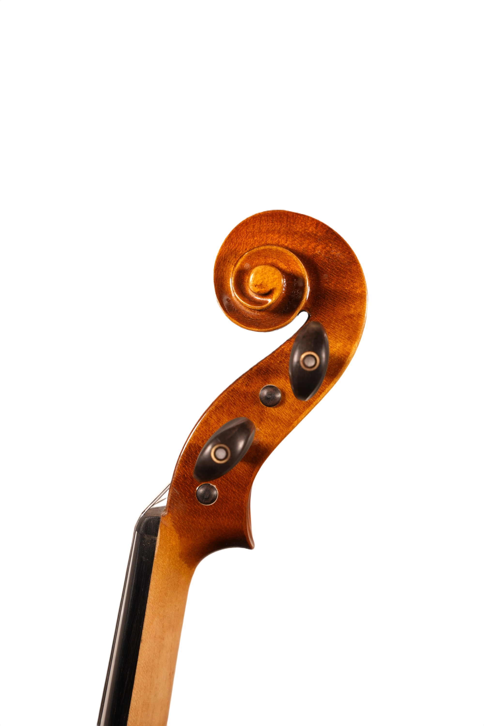 15" Viola Outfit - LS Model DT (anno. 2025)