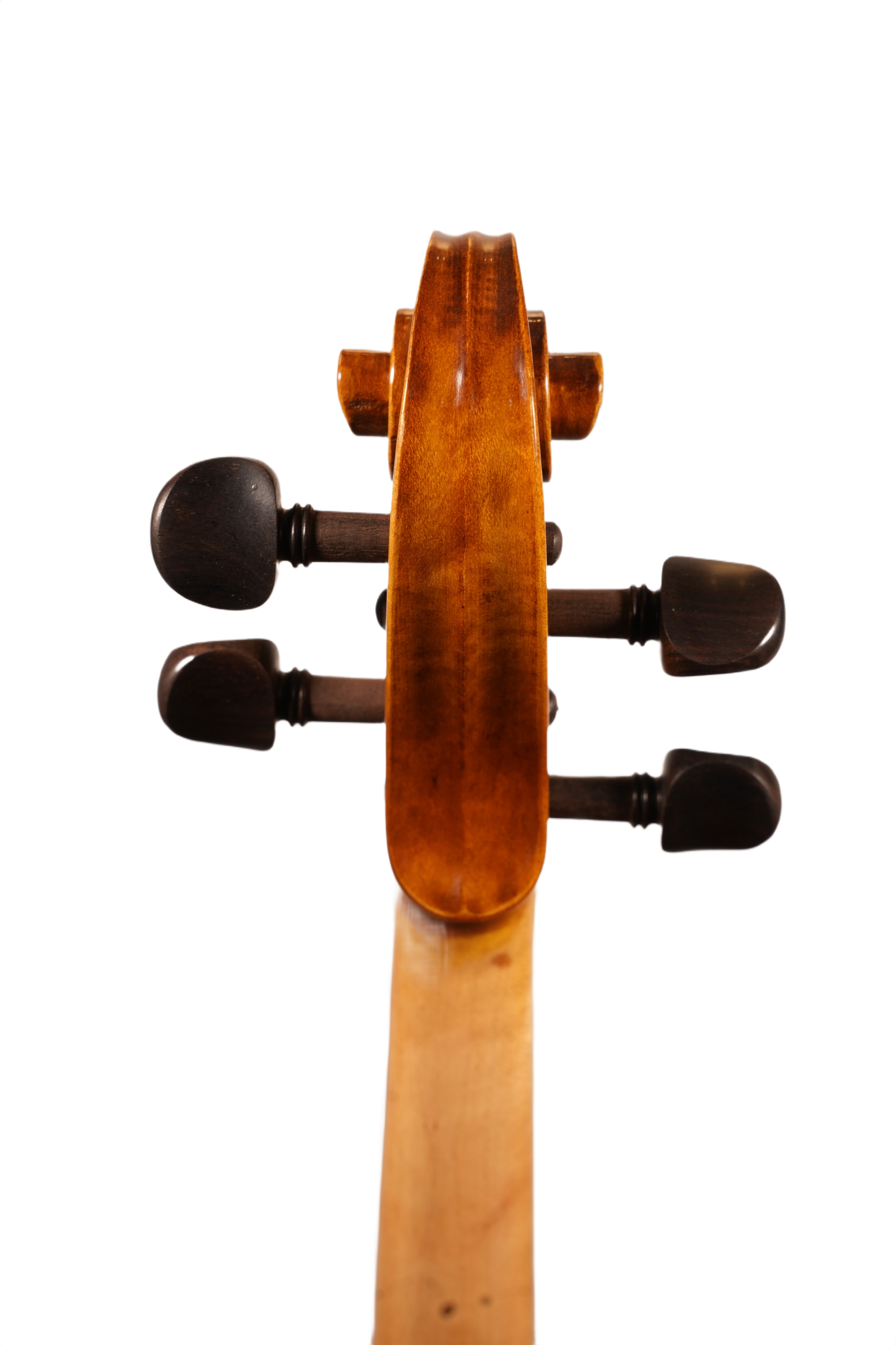 15" Viola Outfit - LS Model DT (anno. 2025)