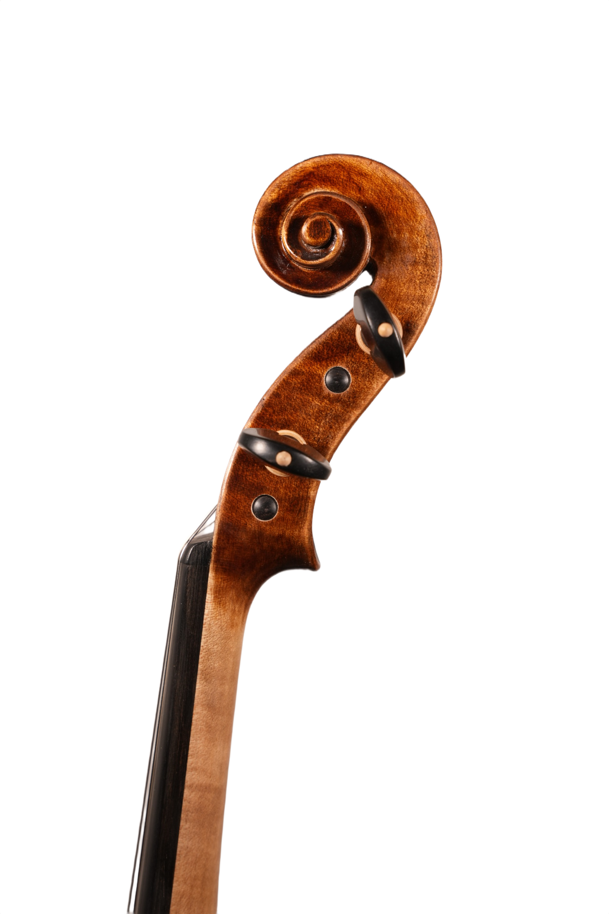 15" Viola Outfit - LS Model