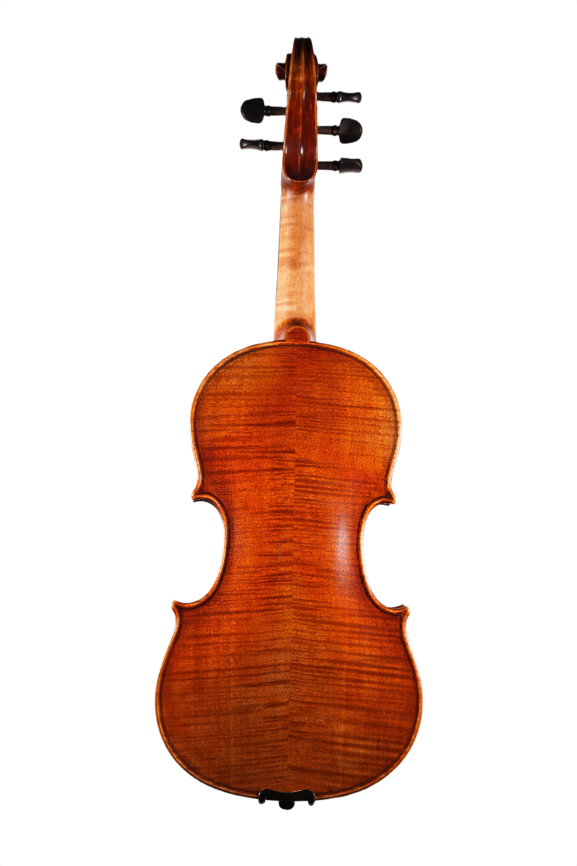 4/4 Violin Outfit - 5 String