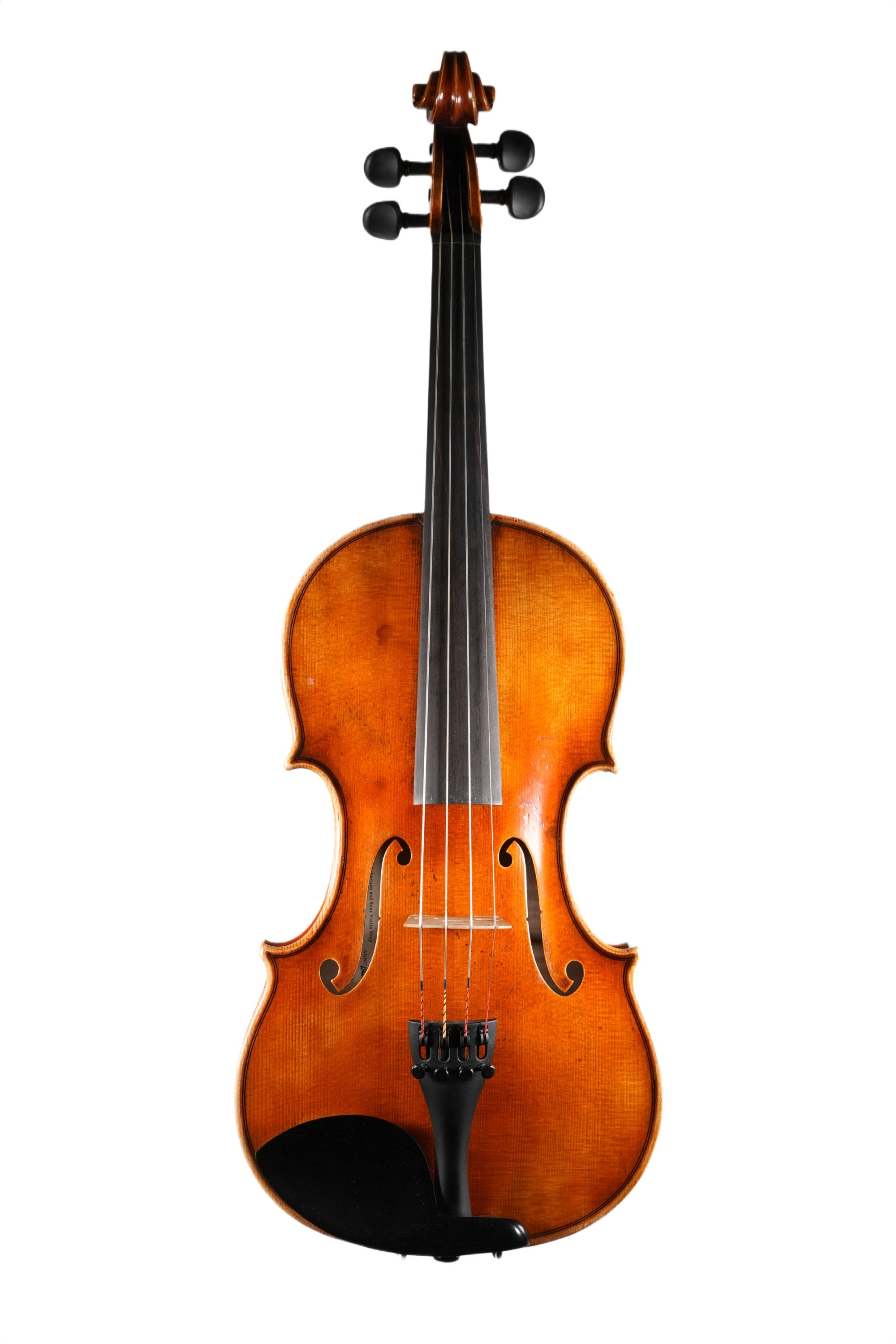 4/4 Violin Outfit - Petko Stoinov
