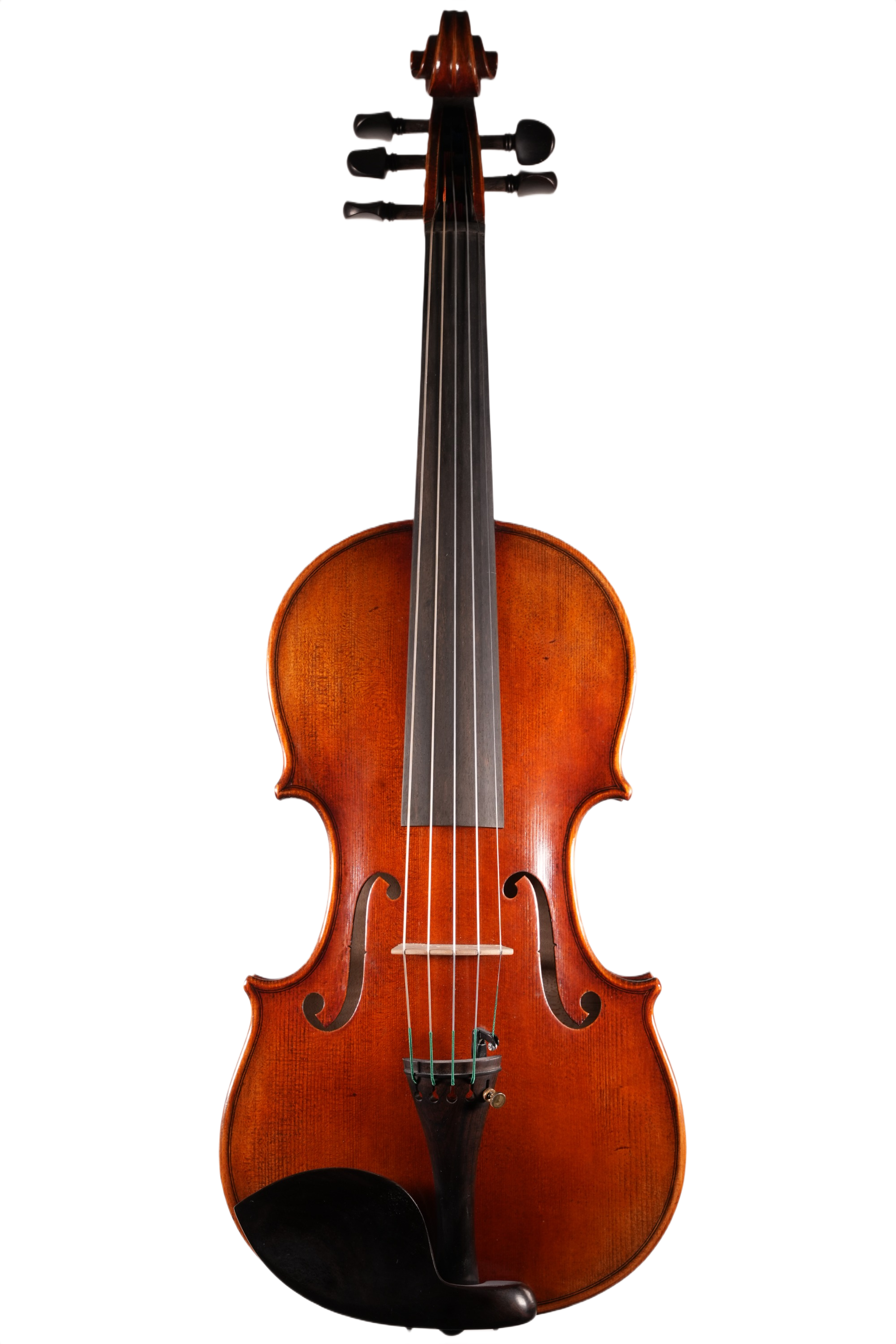 4/4 Violin Outfit - 5 String