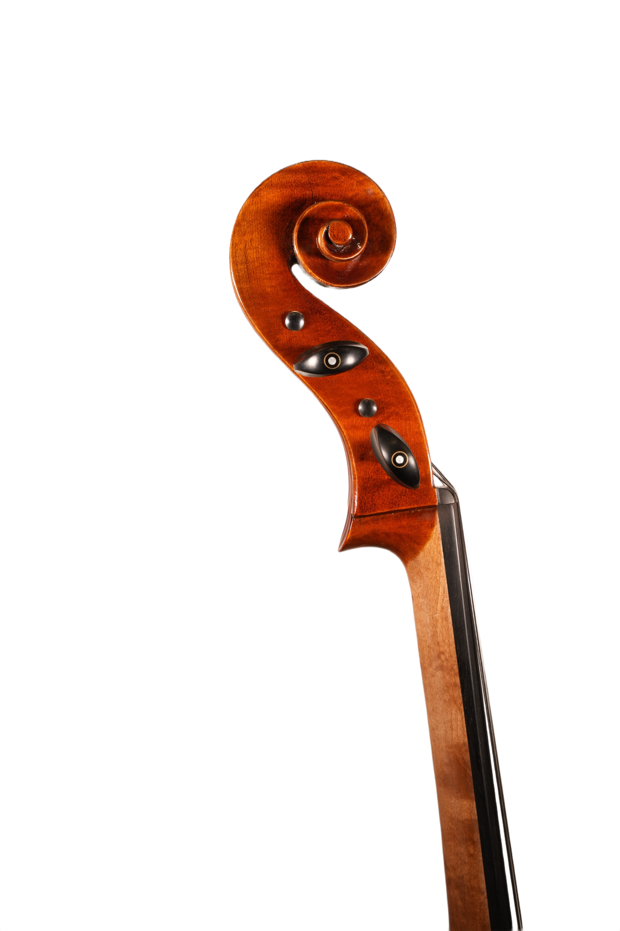 4/4 Cello Outfit - LS Model 70