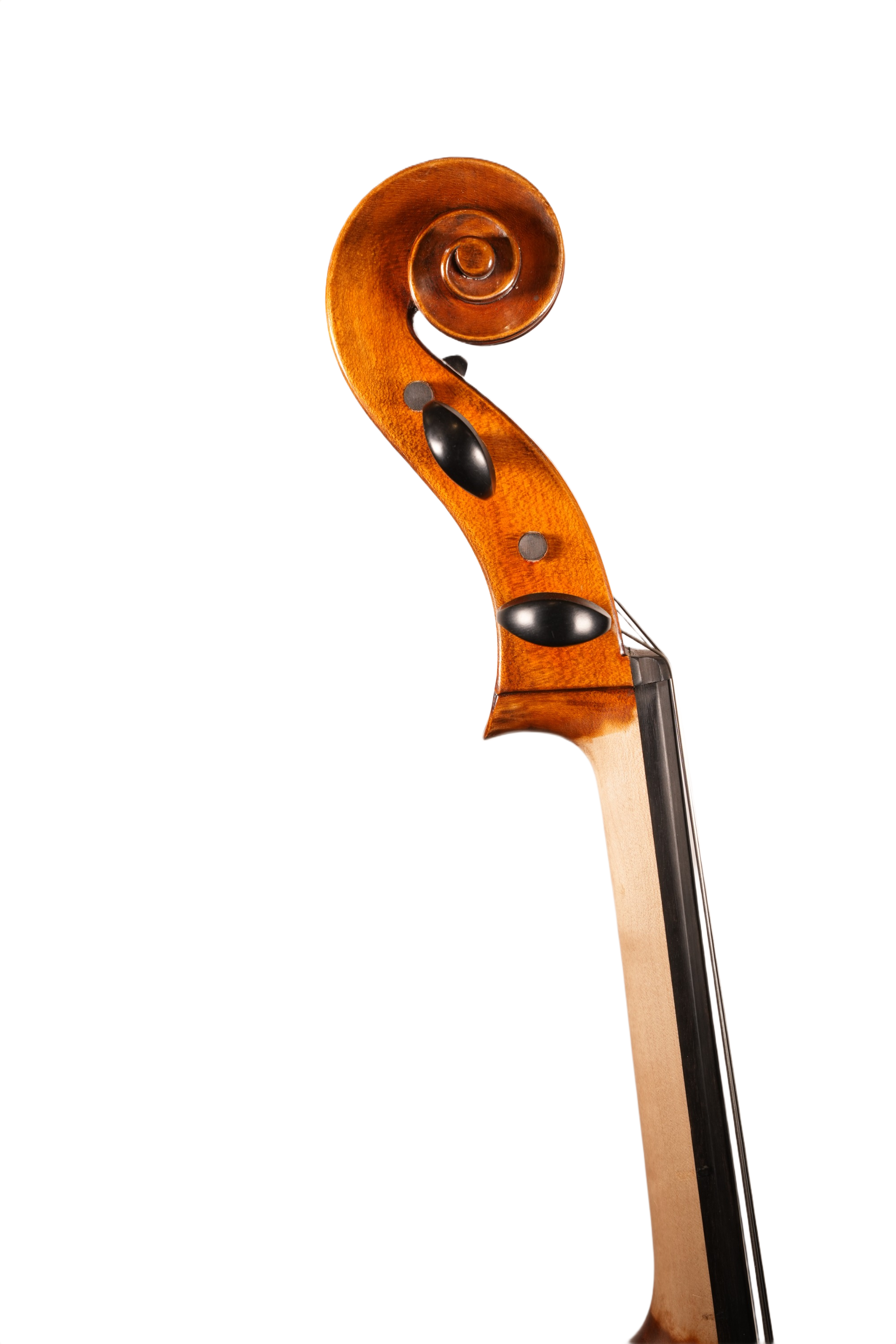 4/4 Cello Outfit - LS Model BT