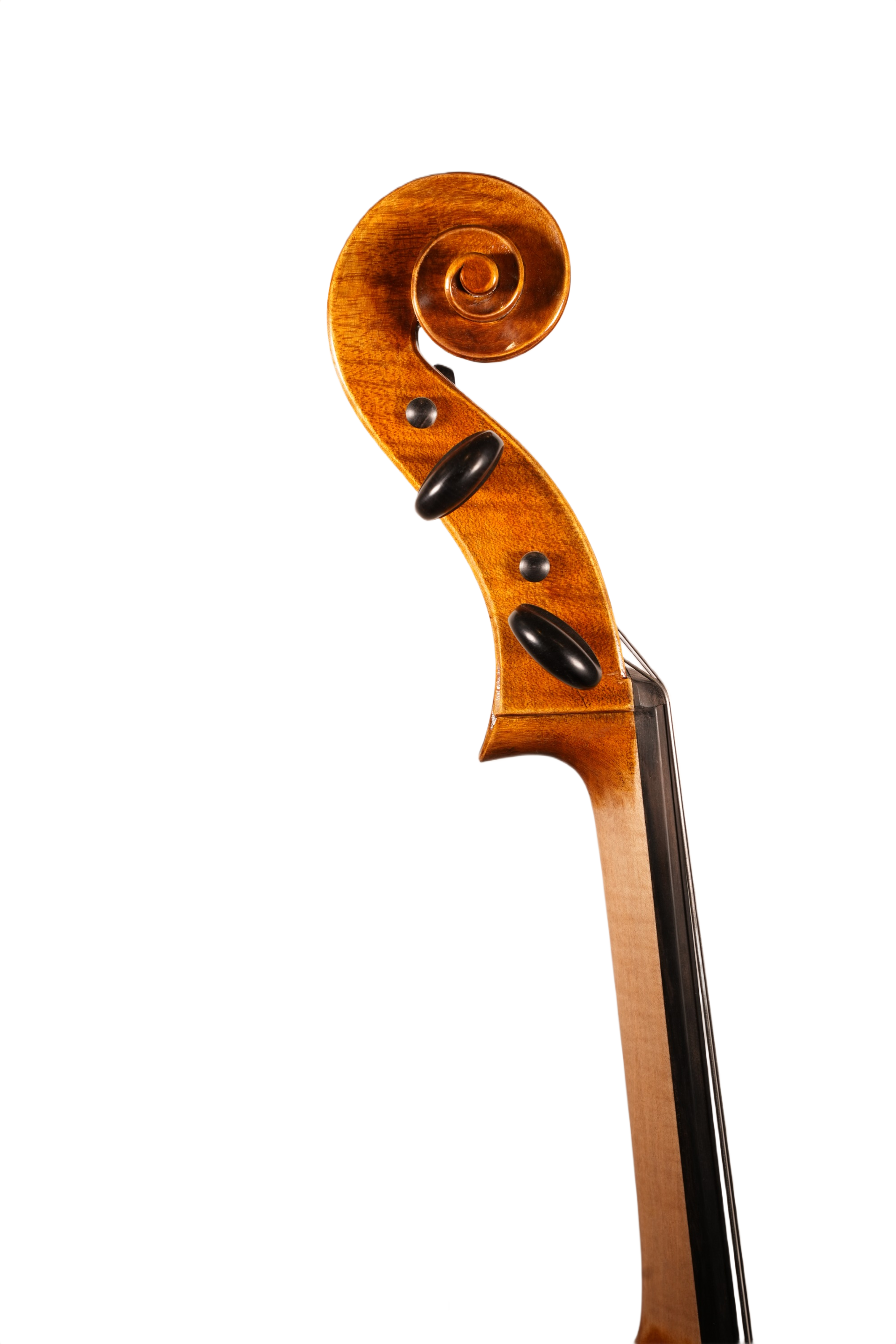 4/4 Cello Outfit - LS Model ME (anno. 2025)