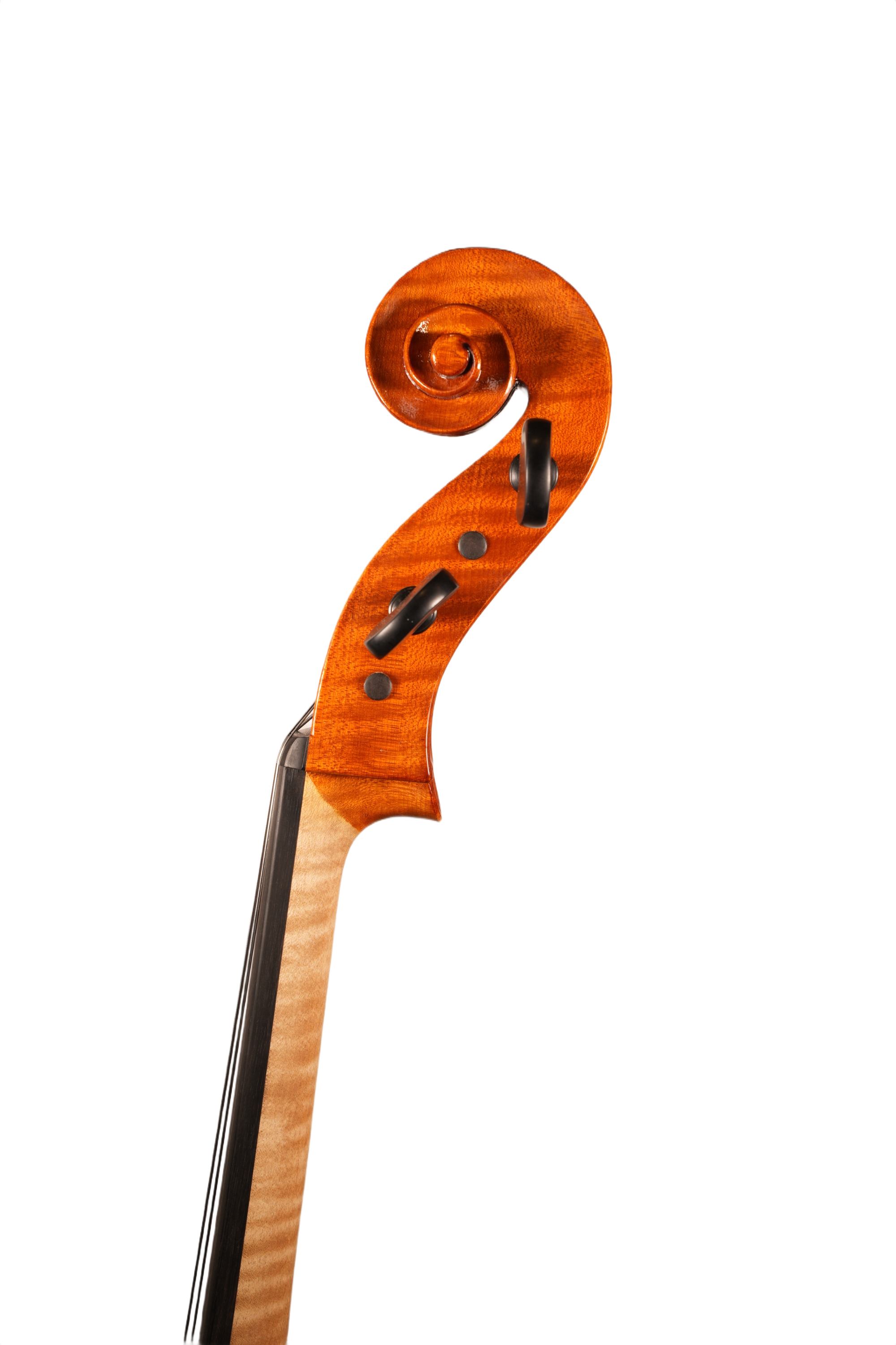 4/4 Lillo Salerno Workshop Cello Ex Cremonensis (anno 2025)