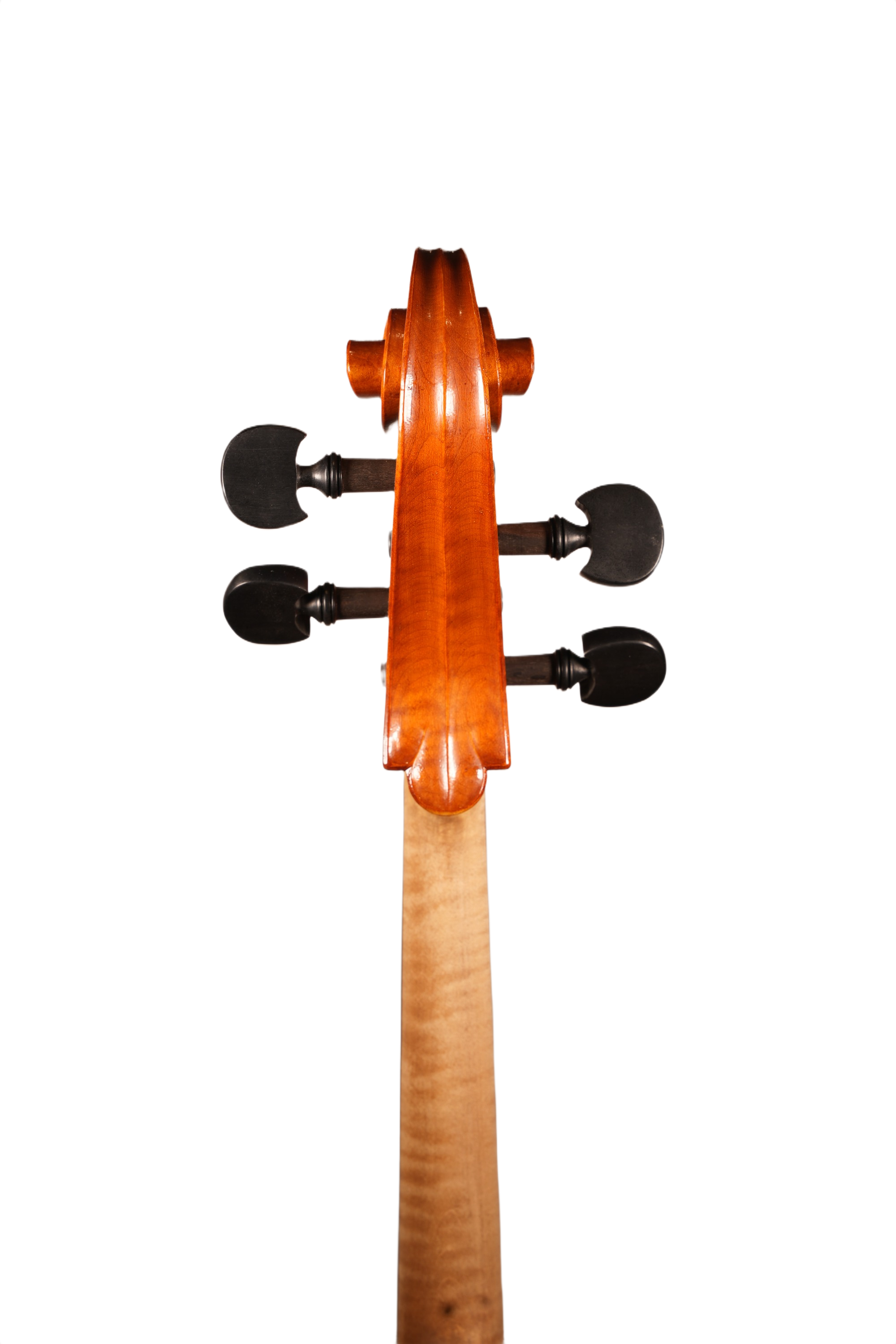 4/4 Lillo Salerno Workshop Cello Ex Cremonensis (anno 2025)