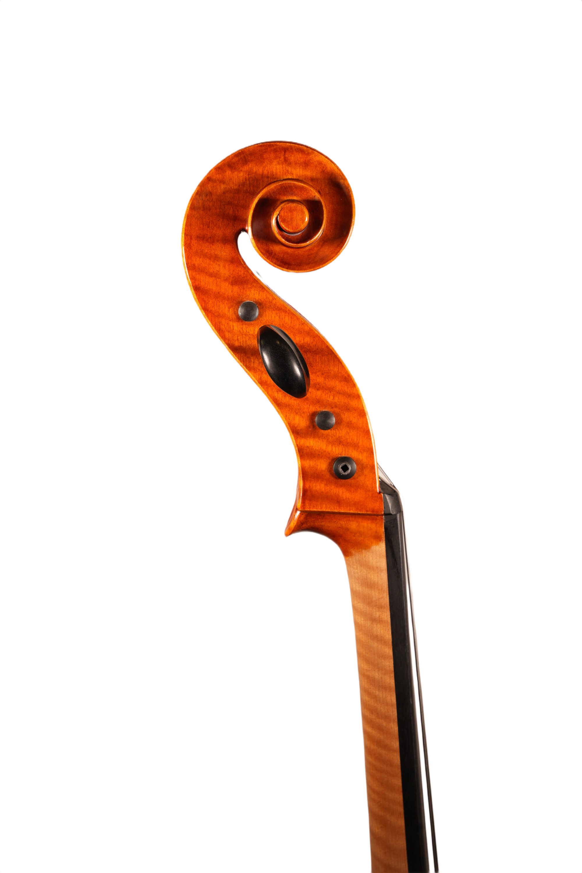4/4 Cello Outfit - LC Sonata Model (anno. 2018)