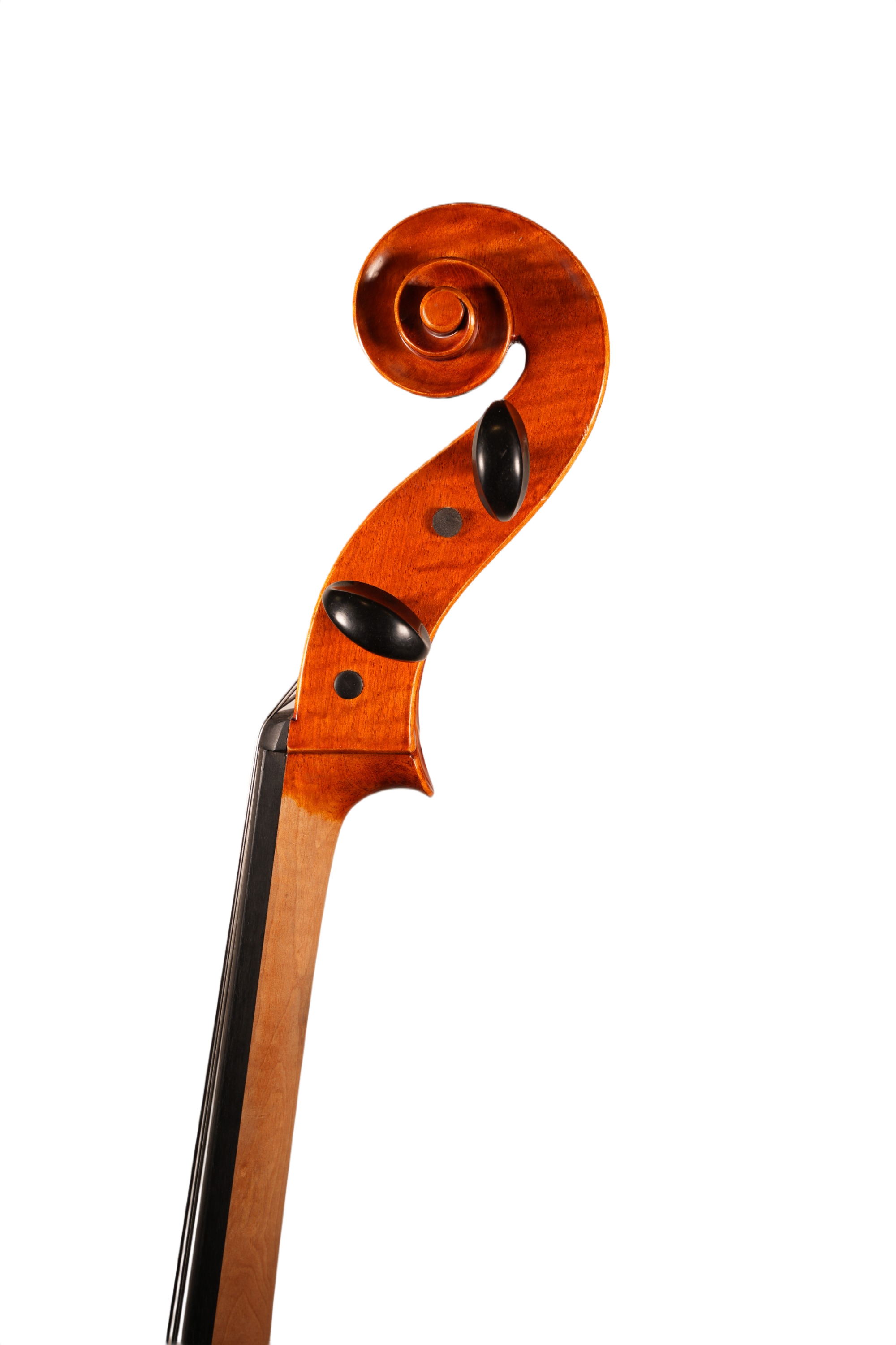 4/4 Cello Outfit - LC Sonata Model (anno. 2018)