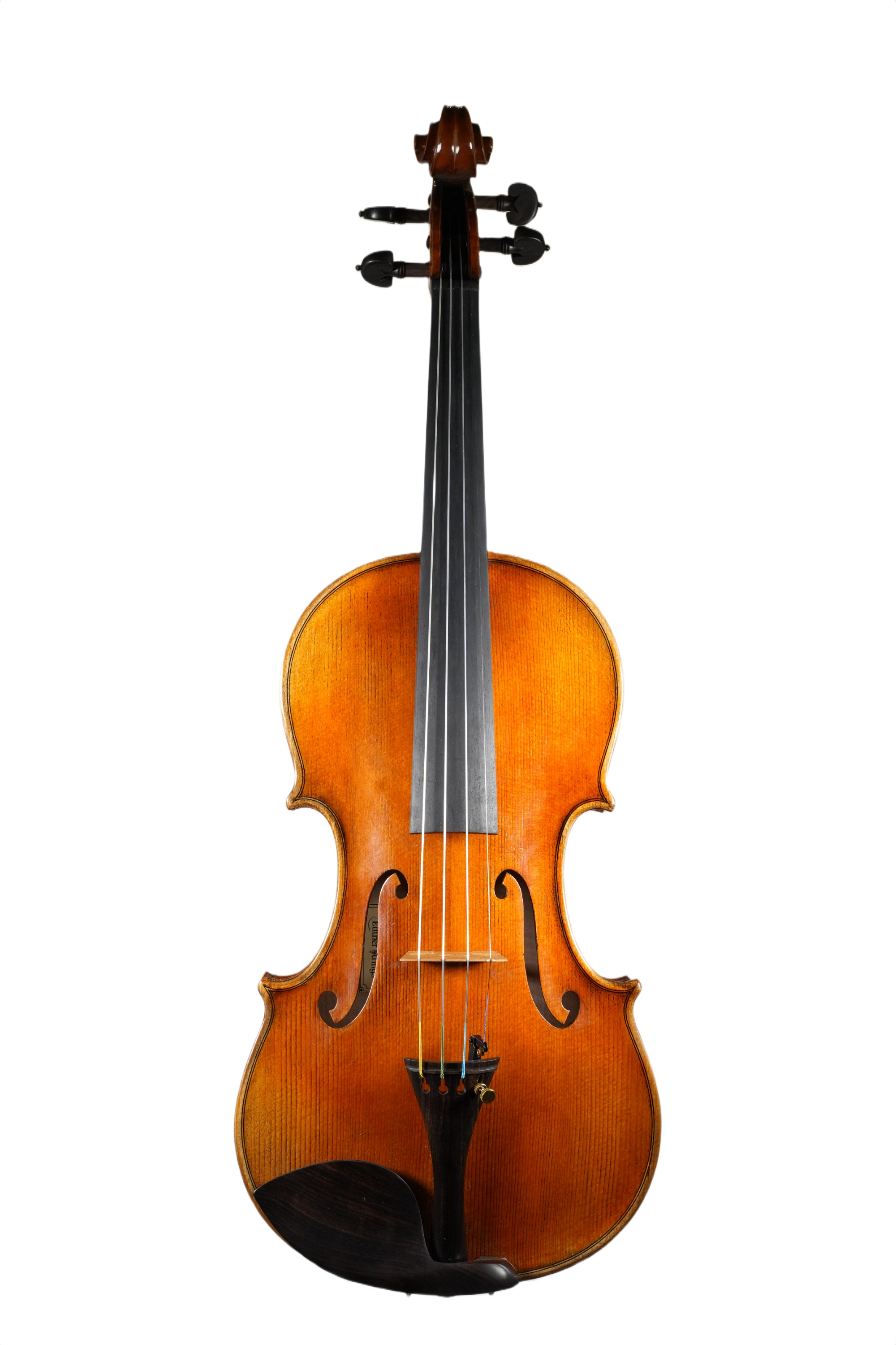 4/4 Violin Outfit - LS Model D5